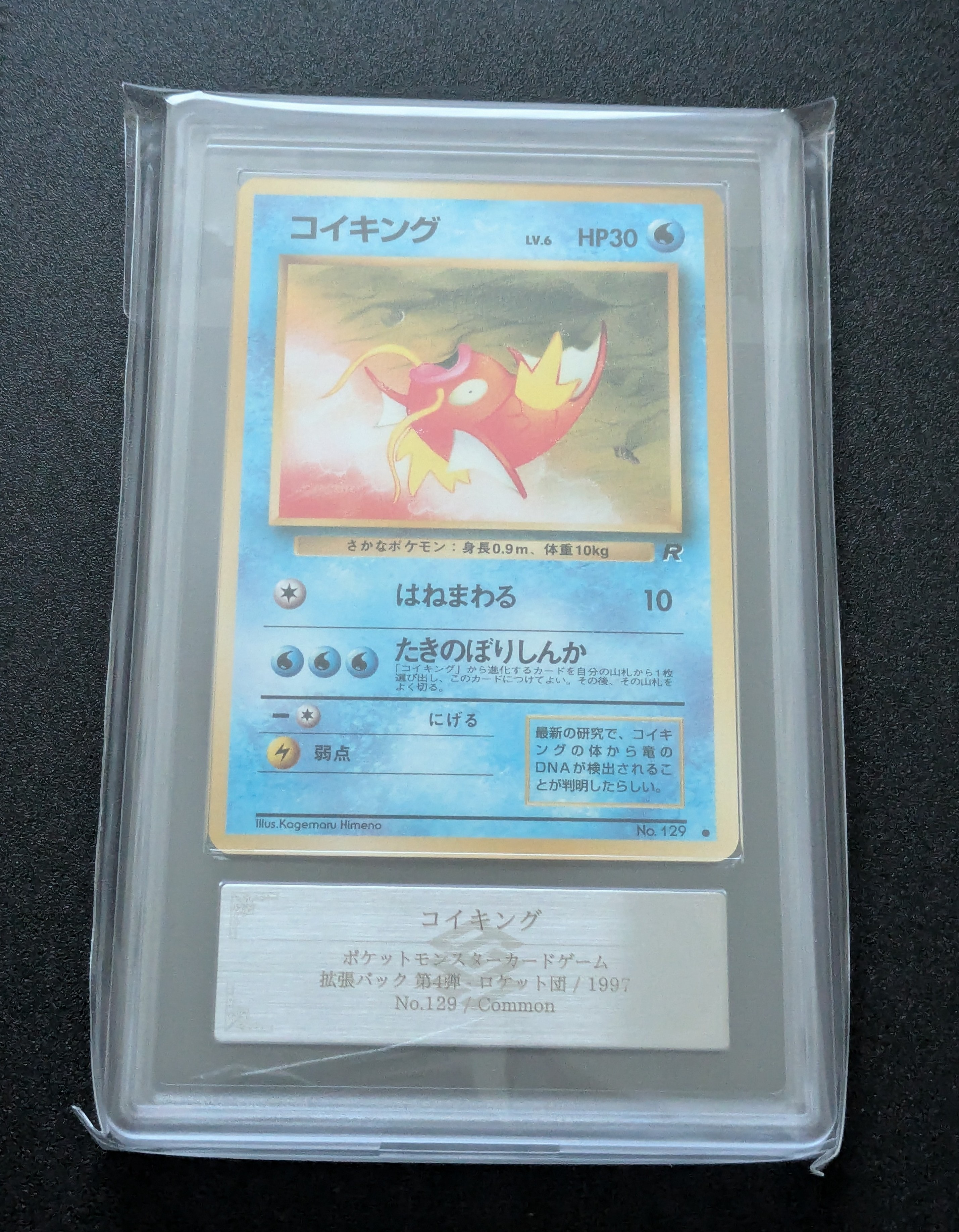ARS10】コイキング ○ : 旧裏 [PMCG4 No.129](拡張パック「ロケット団