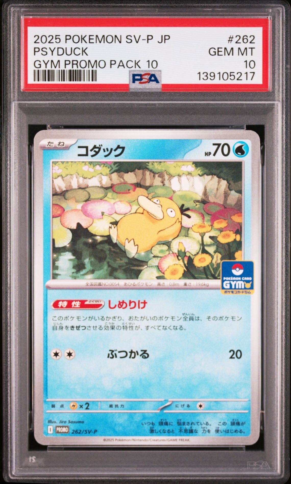 コダック P [SV-P 262](プロモカードパック「第10弾」)