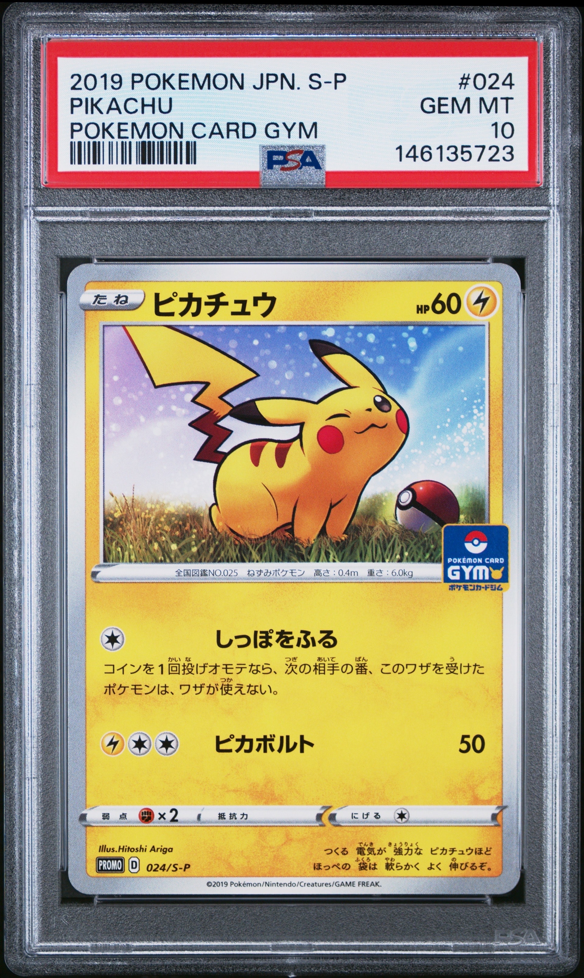 ピカチュウ: プロモ P [S-P 024](ポケモンカードゲーム ソード&シールド 「プロモカードパック 第1弾」)