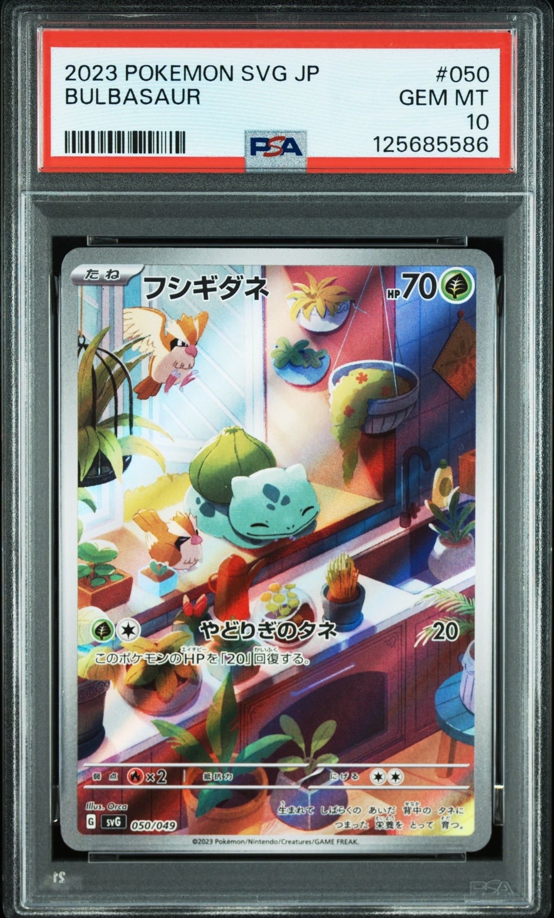 フシギダネ :フルイラスト [SVG 050/049](スペシャルデッキセットex「フシギバナ・リザードン・カメックス」)