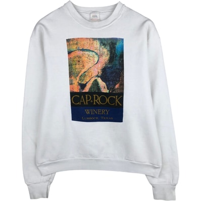 古着 80年代 フルーツオブザルーム FRUIT OF THE LOOM プリントスウェットシャツ トレーナー USA製 メンズL相当 ヴィンテージ/eaa624881