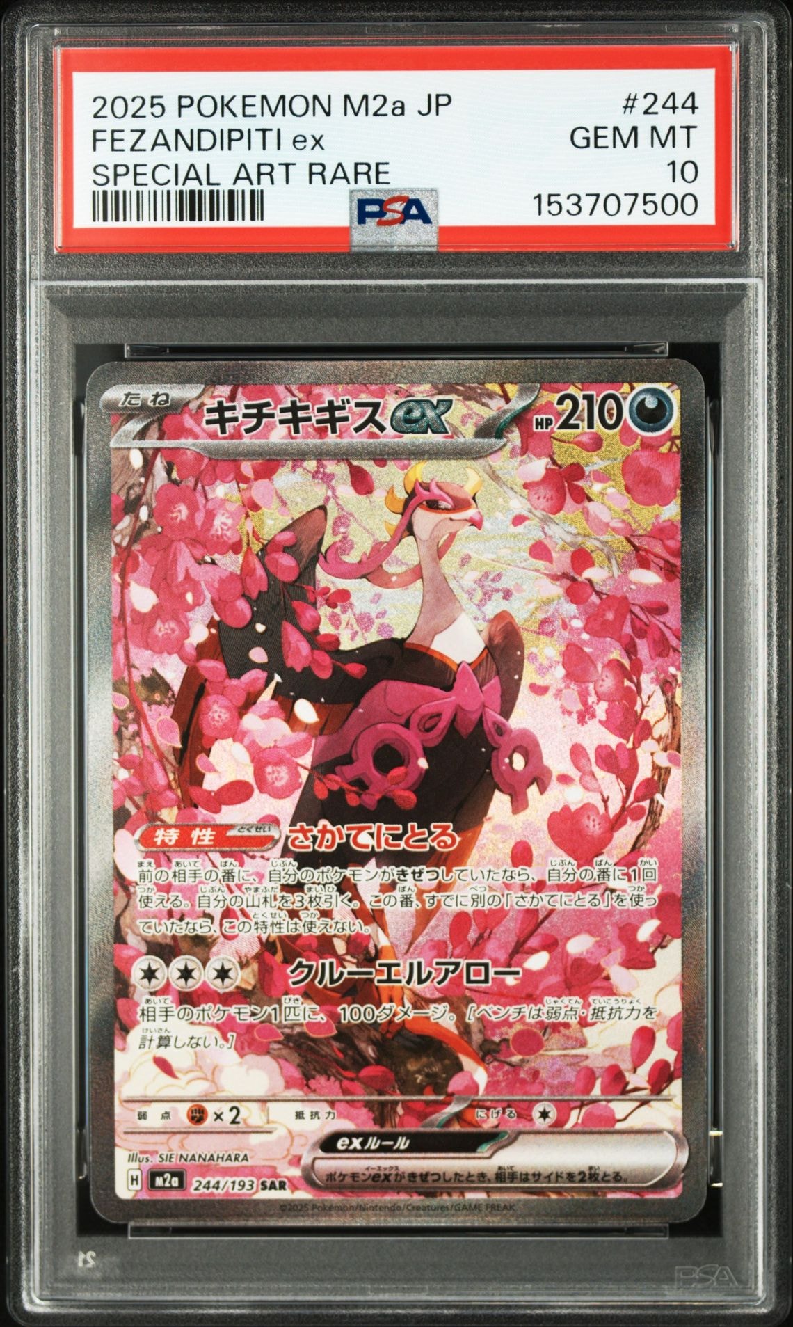 キチキギスex SAR [M2a 244/193](ハイクラスパック「MEGAドリームex