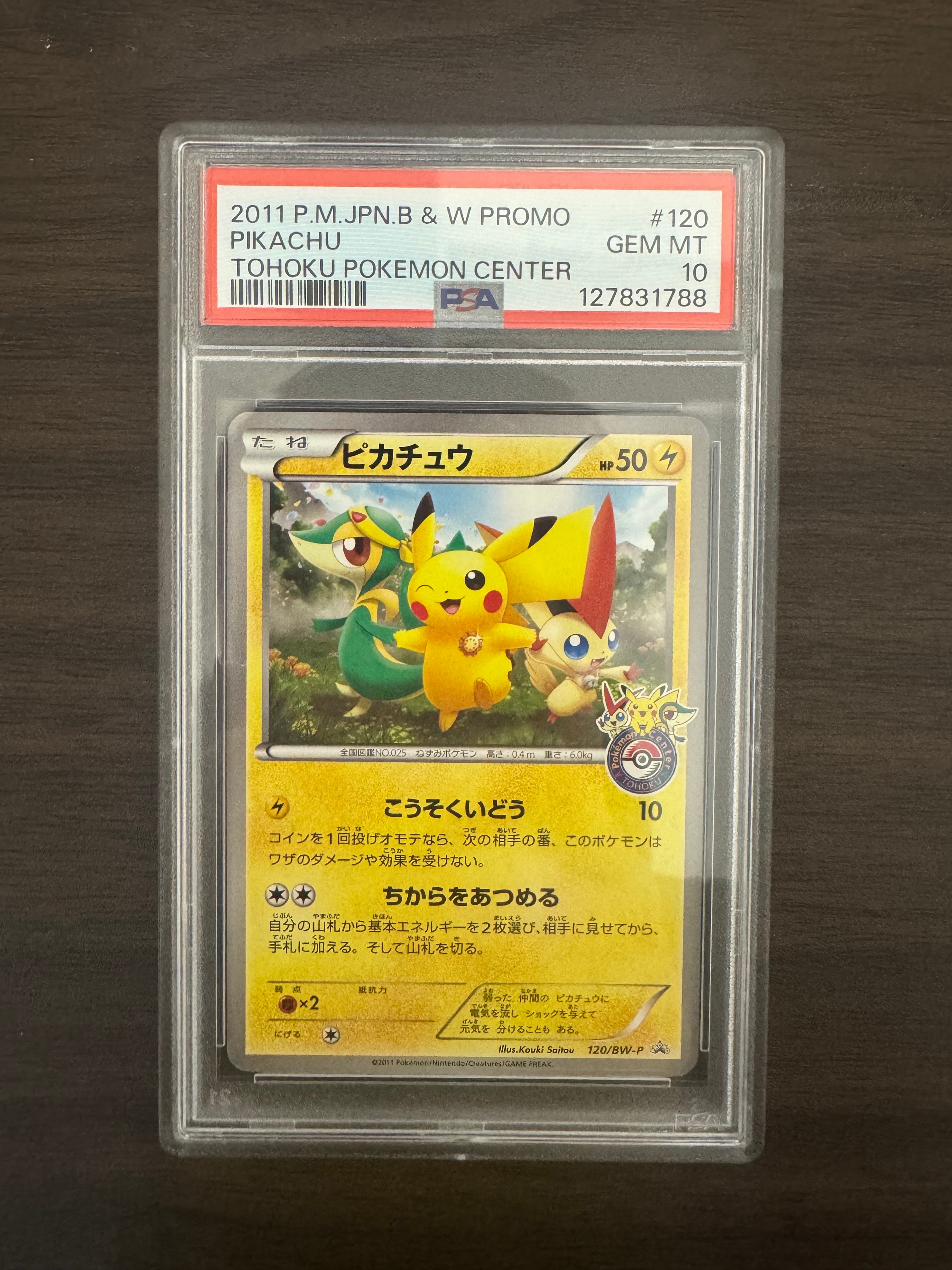 PSA10】ピカチュウ P [BW-P 120/BW-P](プロモーションカード「ポケモン
