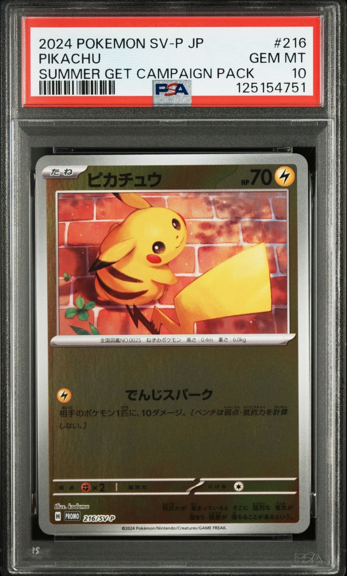 ピカチュウ P [SV-P 216](プロモカードパック「ポケカの夏がキタ!プロモカードGetキャンペーン!」)