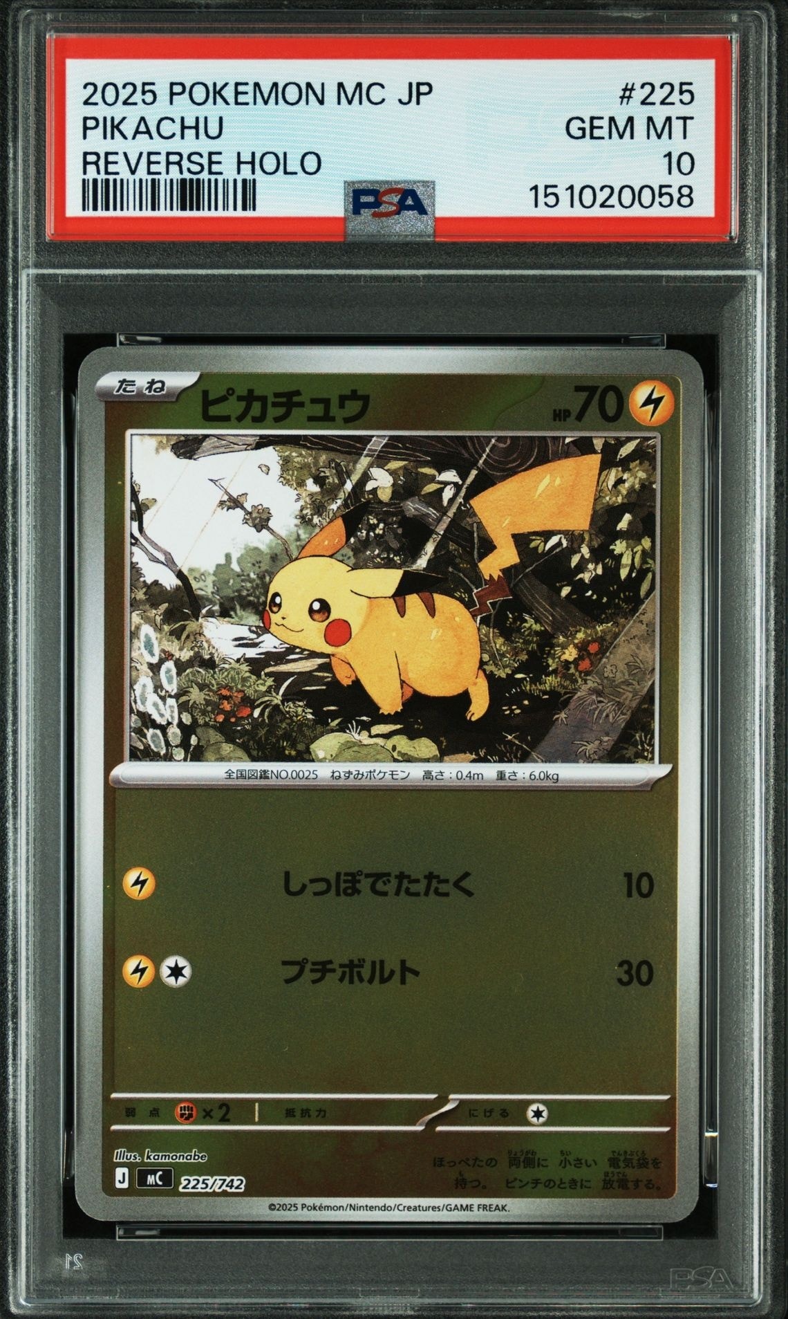 ミュウツーLV.X [DP5](対戦スターターパック「ヒードランVSレジギガス
