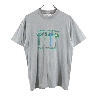 Hanes ヘインズ 80s 90s オールド プリント 半袖 Tシャツ L グレー系