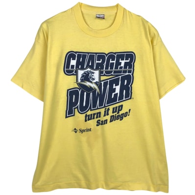 古着 90年代 フルーツオブザルーム FRUIT OF THE LOOM BEST プリントTシャツ USA製 メンズXL相当 ヴィンテージ/eaa650393