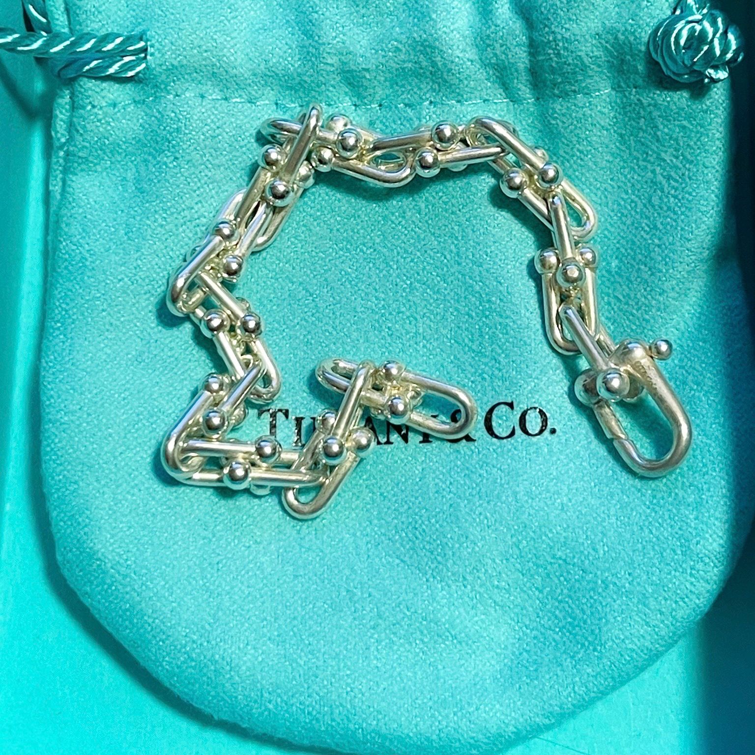 Tiffany & Co. HardWear Small Link Bracelet in Silver