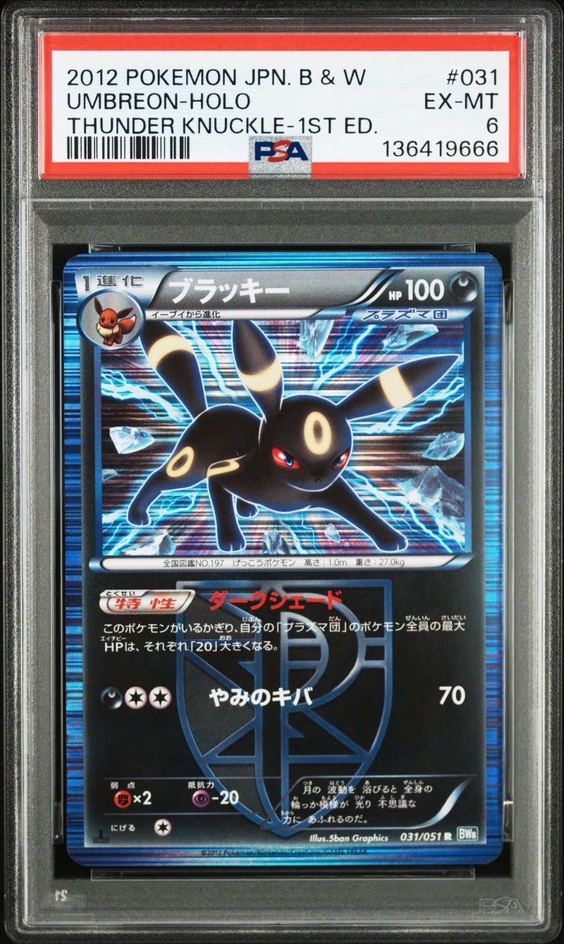ブラッキー R :1ED [BW8 031/051](拡張パック「ライデンナックル」)