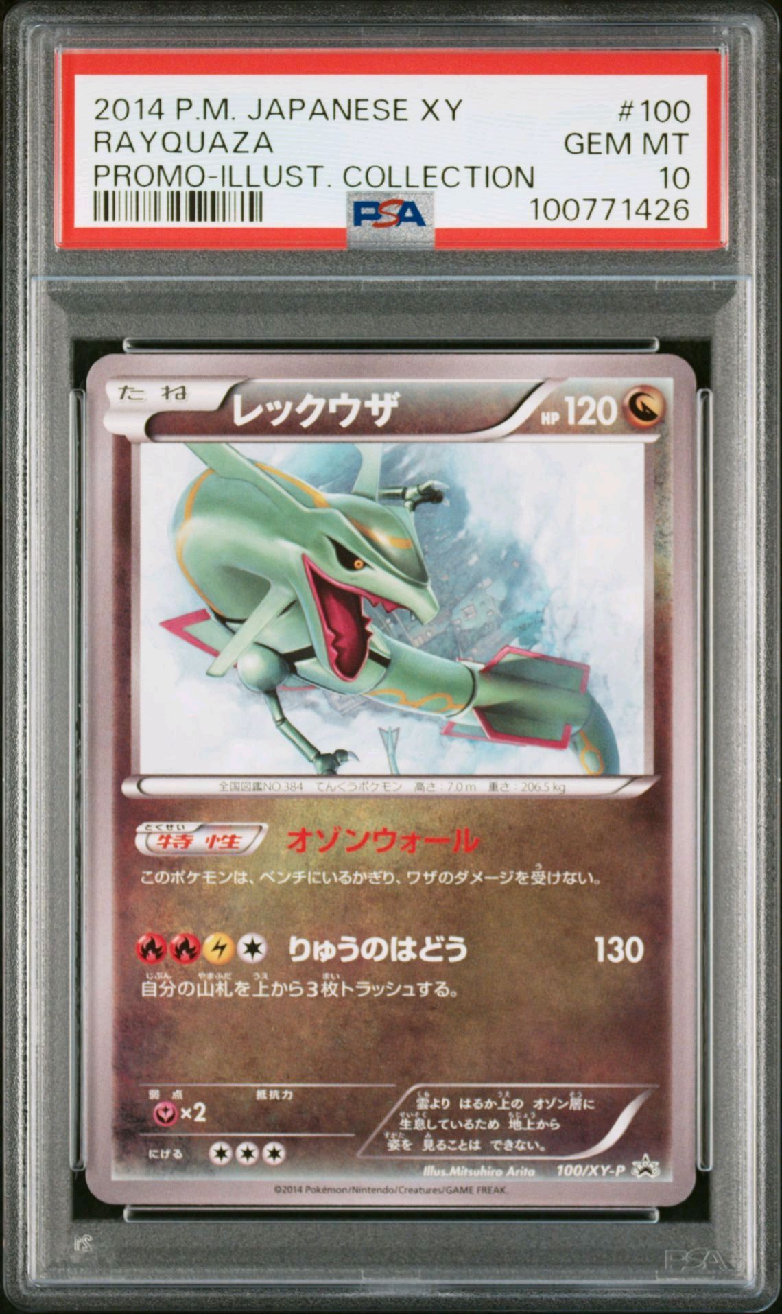 レックウザ イラストコレクション: プロモ[XY-P 100/XY-P](プロモーションカード「XY-P」)