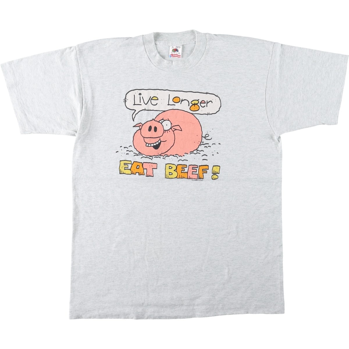 古着 90年代 フルーツオブザルーム FRUIT OF THE LOOM プリントTシャツ USA製 メンズL相当 ヴィンテージ/eaa669968