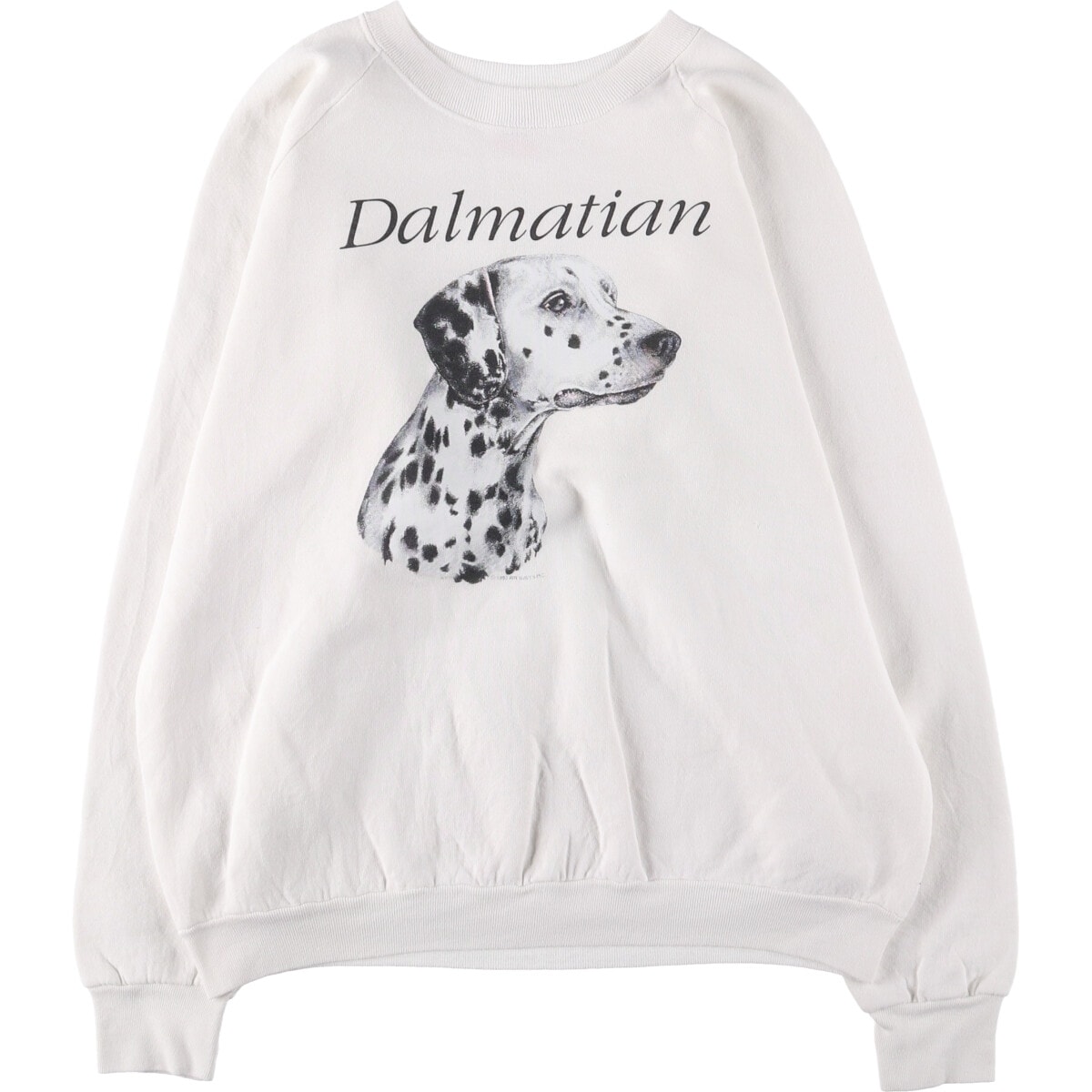 古着 90年代 フルーツオブザルーム FRUIT OF THE LOOM 犬柄 ダルメシアン アニマル スウェットシャツ トレーナー USA製 メンズXL相当 ヴィンテージ/eaa530003