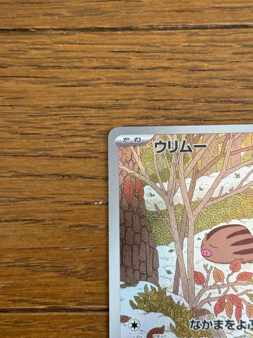 CGC 10 GEM MINT Pokemon Swinub 106/100 Battle Partners SV9 Japanese Art Rare psa CGC 10 GEM MINT Pokemon Swinub 106/100 Battle Partners SV9 Japanese Art Rare psa