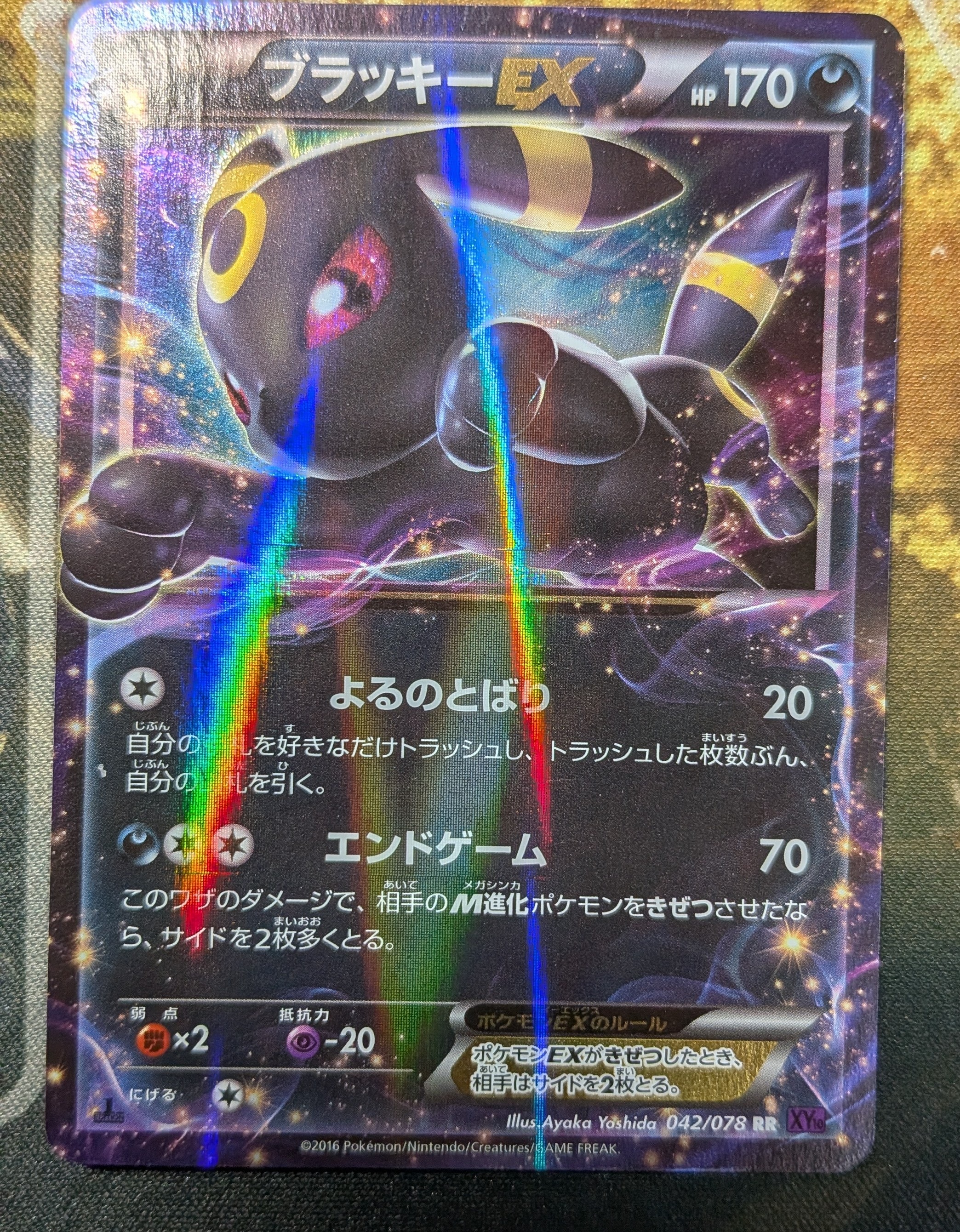 PSA10】ブラッキーEX RR [XY10 042/078](拡張パック「めざめる超王