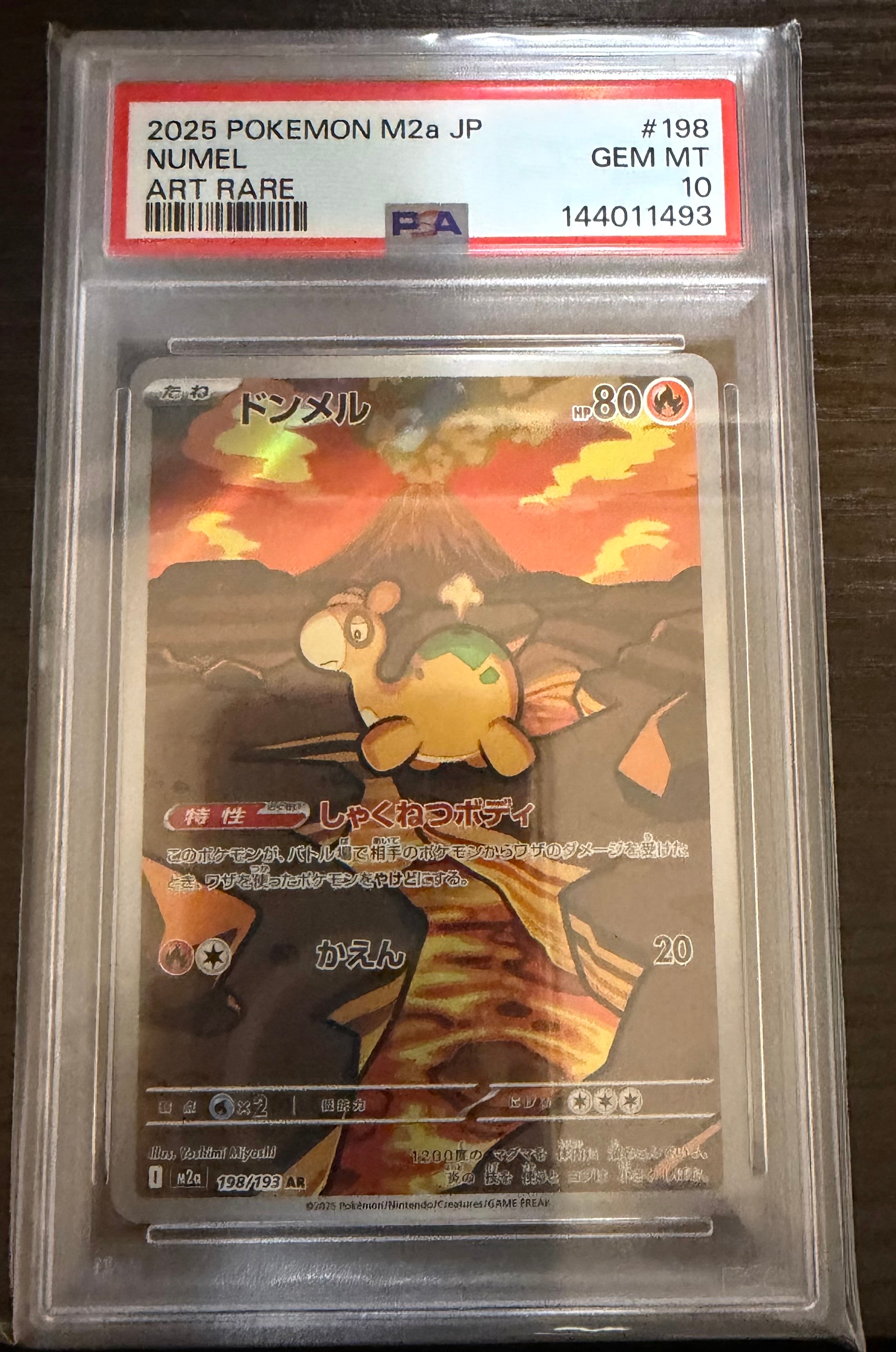 ドンメル AR [M2a 198/193](ハイクラスパック「MEGAドリームex」)