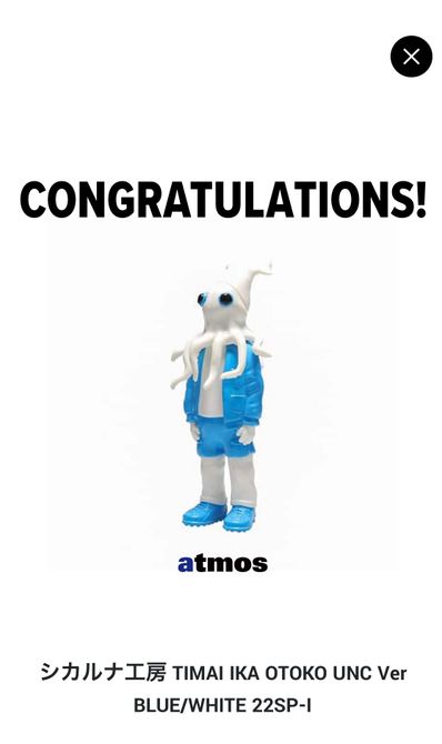 シカルナ工房 TIMAI IKA OTOKO UNC Ver