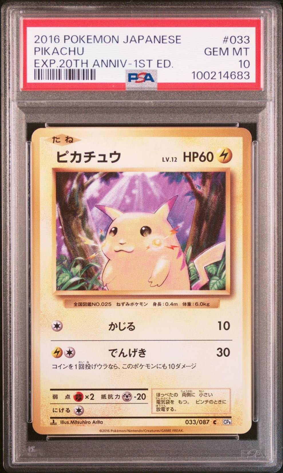 ピカチュウ C :1ED [CP6 033/087](コンセプトパック「ポケットモンスターカードゲーム 拡張パック 20th Anniversary」)