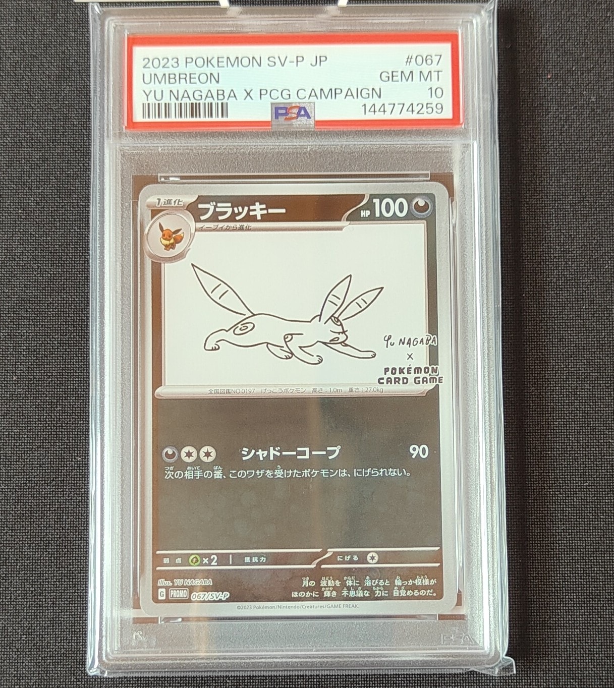 ブラッキー　ナガバ　Gem Mint 10 ポケモンカード　PSA10 PSA10鑑定済〕ブラッキー(YU NAGABA)【P】{067/SV-P}