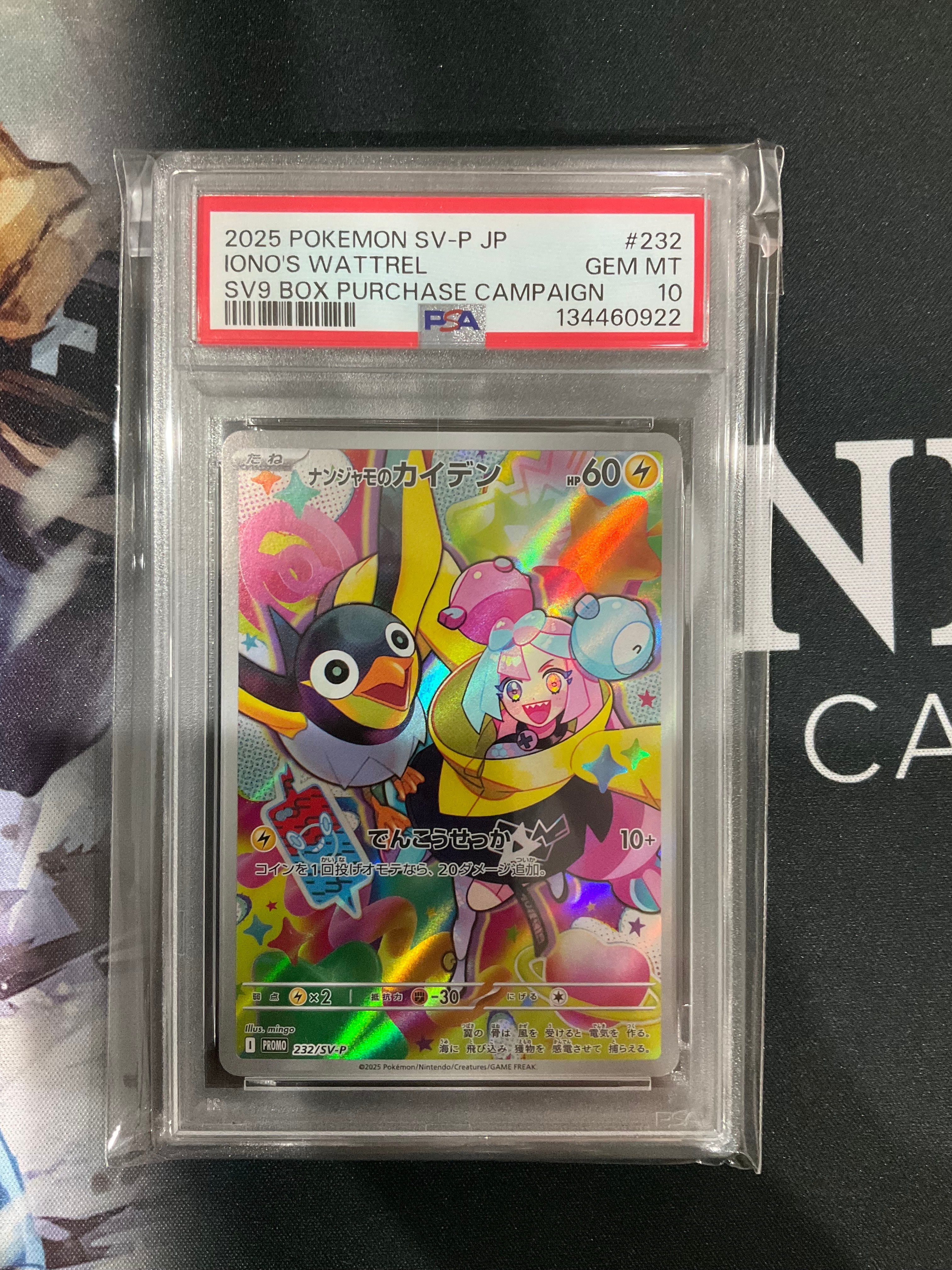 ナンジャモのカイデン P [SV-P 232](プロモーションカード「拡張パック バトルパートナーズ Box購入キャンペーン」)