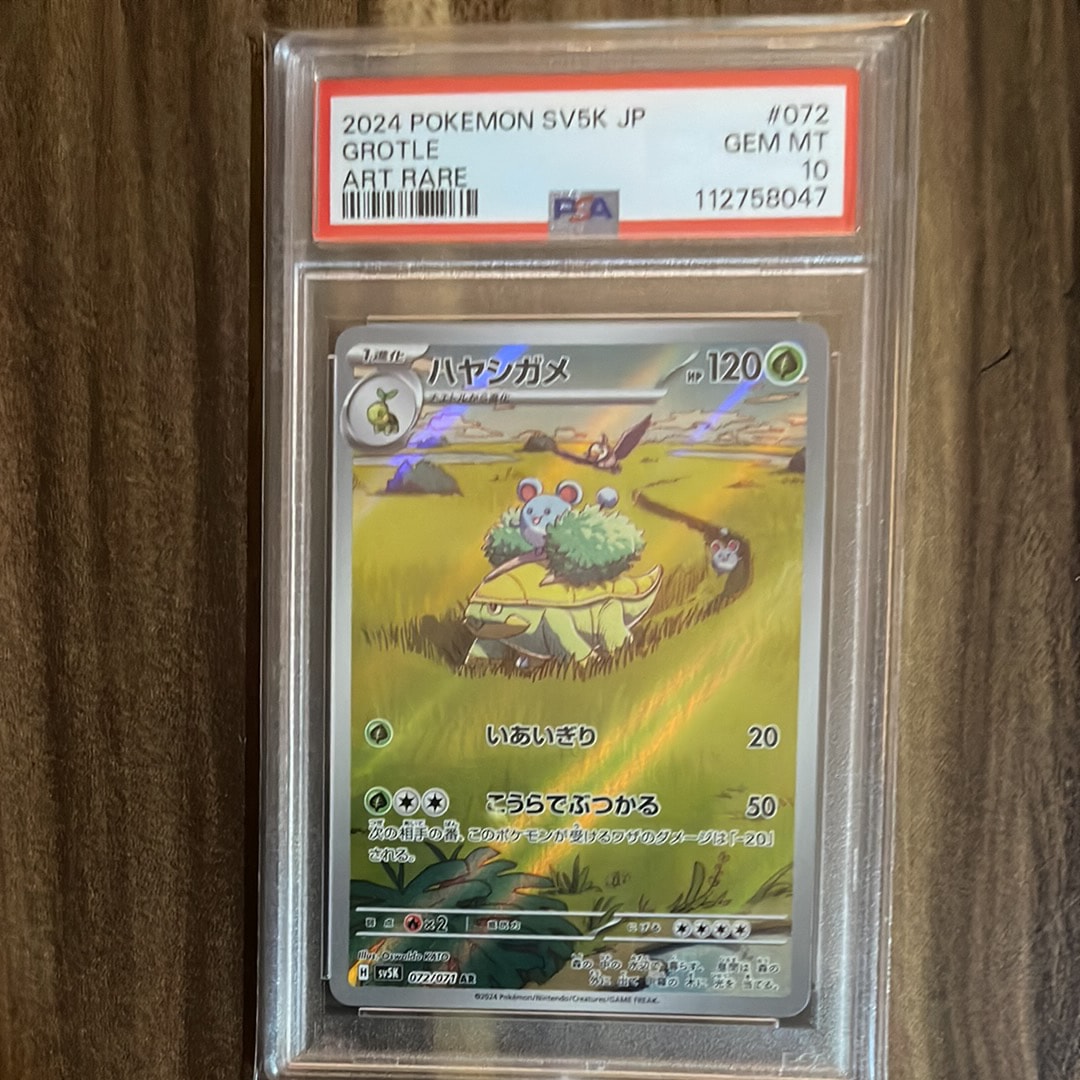 ハヤシガメ AR [SV5K 072/071](拡張パック「ワイルドフォース」)