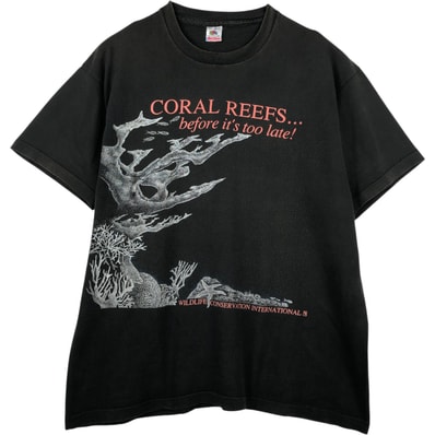 古着 90年代 フルーツオブザルーム FRUIT OF THE LOOM プリントTシャツ USA製 メンズXXL相当 ヴィンテージ/eaa654831