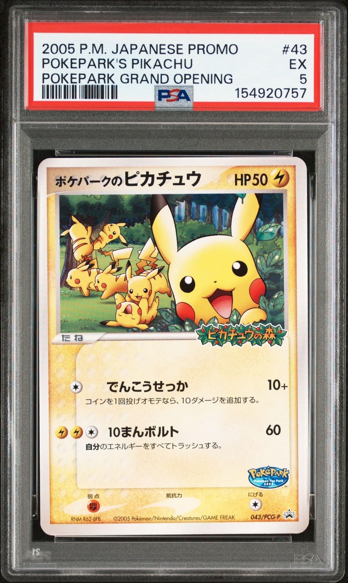 ポケパークのピカチュウ P [PCG-P 043](プロモーションカード