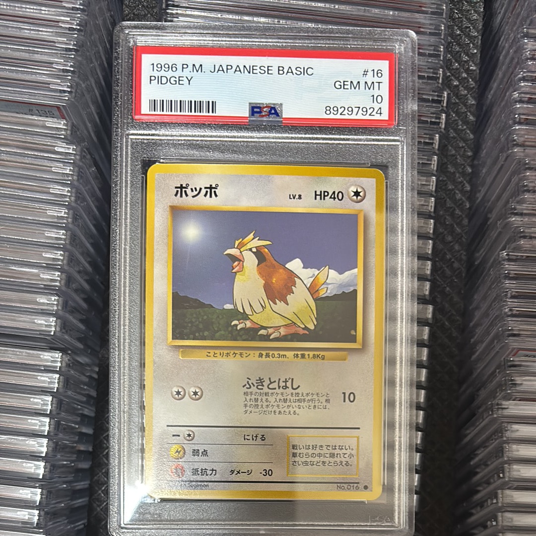 ポッポ ● : 旧裏 [PMCG1-2](拡張パック「ポケットモンスター カードゲーム」再販)