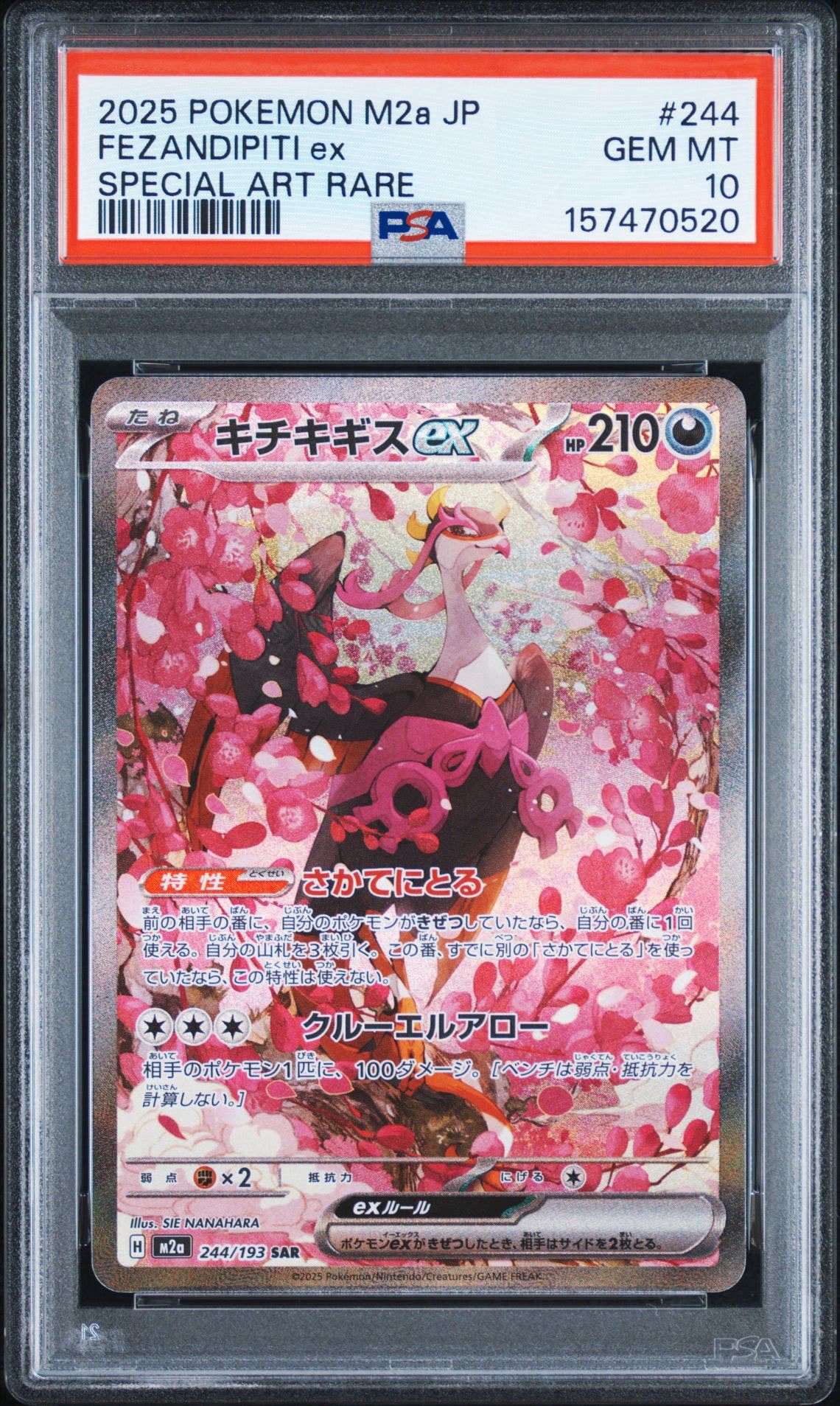 キチキギスex SAR ハイクラスパック MEGAドリームex PSA10 PSA10】キチキギスex SAR [M2a 244/193](ハイクラスパック「MEGA