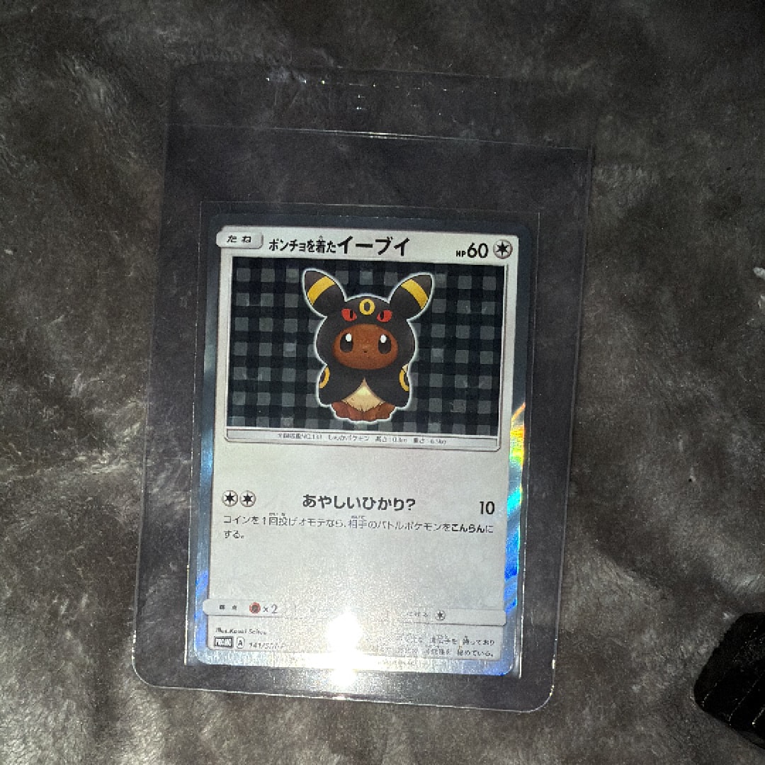 ポンチョを着たイーブイ: プロモ[SM-P 141](プロモーションカード「SM