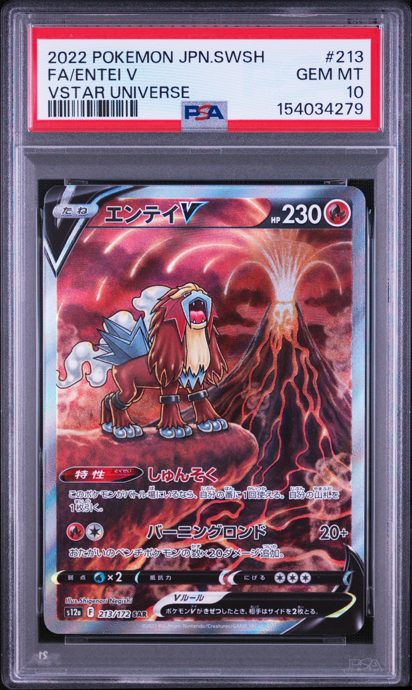 PSA10】エンテイV SAR[s12a 213/172](ハイクラスパック「VSTAR