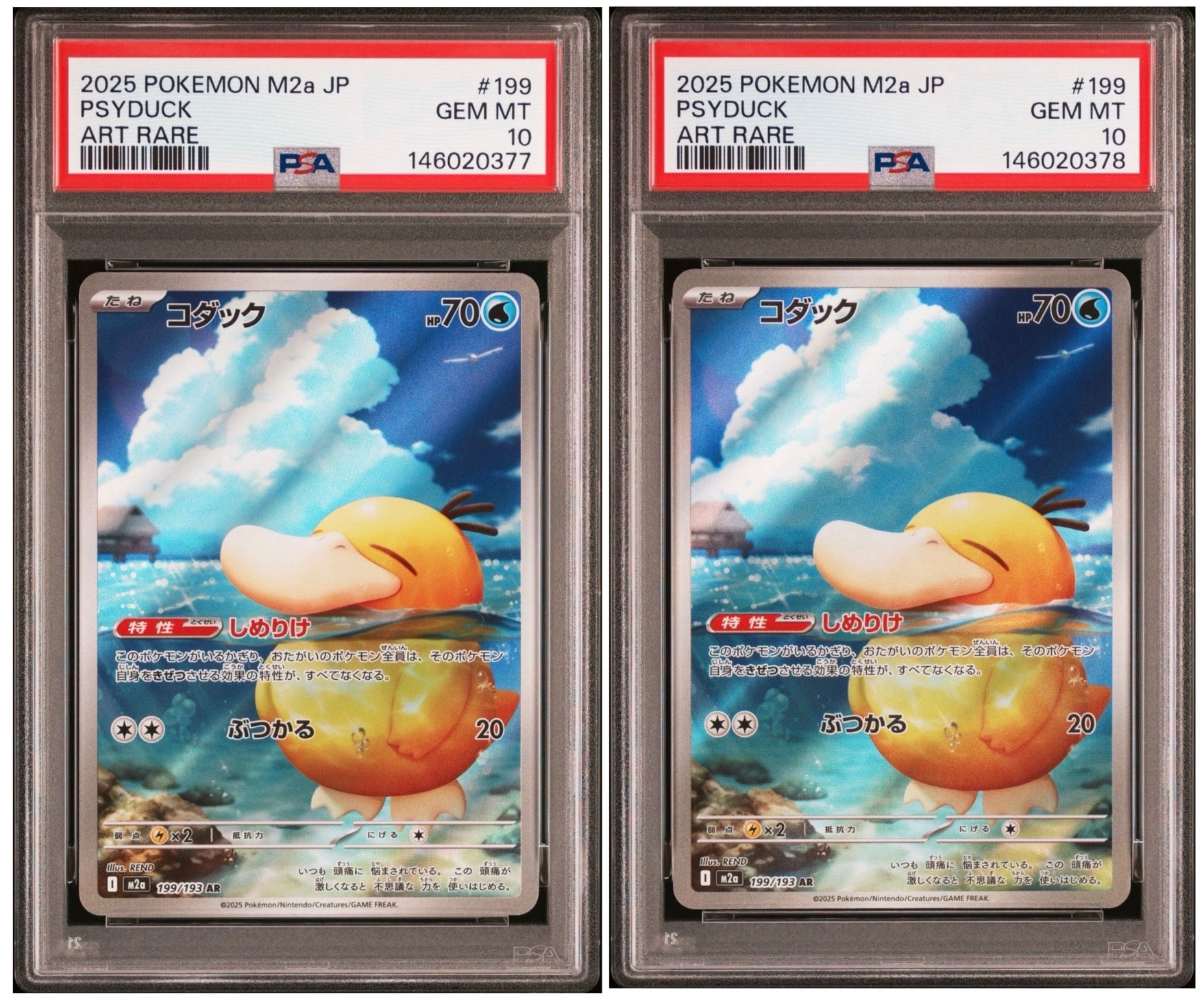 ハウ: プロモ[SM-P 020](プロモーションカード「SM-P」)の新品/中古