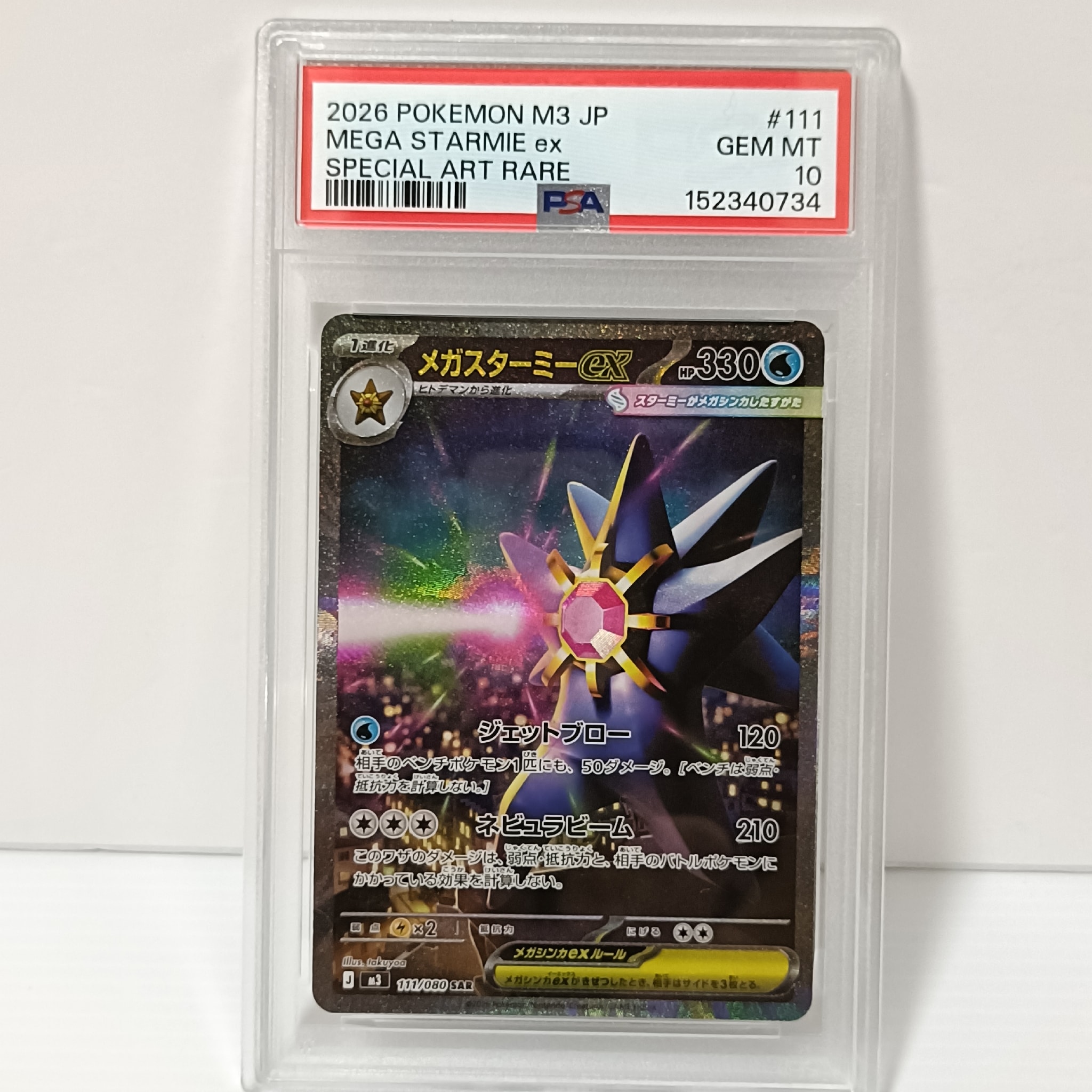 8195011.jpeg?size=m