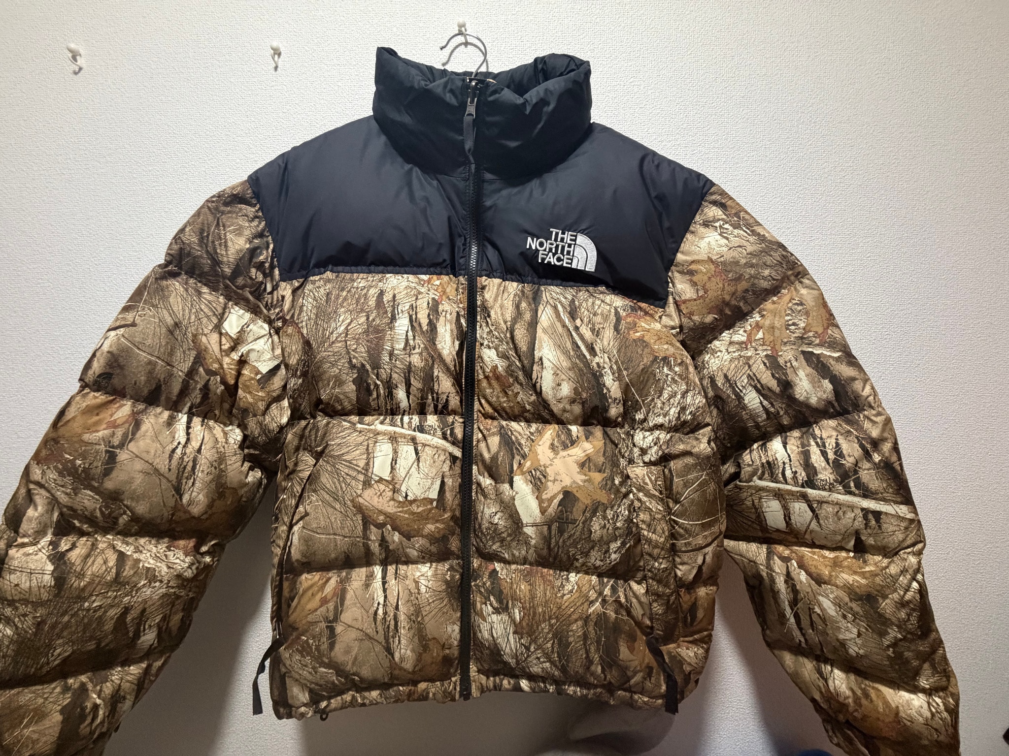 The North Face 1996 RETRO NUPTSE PACKABLE JACKET Overseas ver. "Leaves"