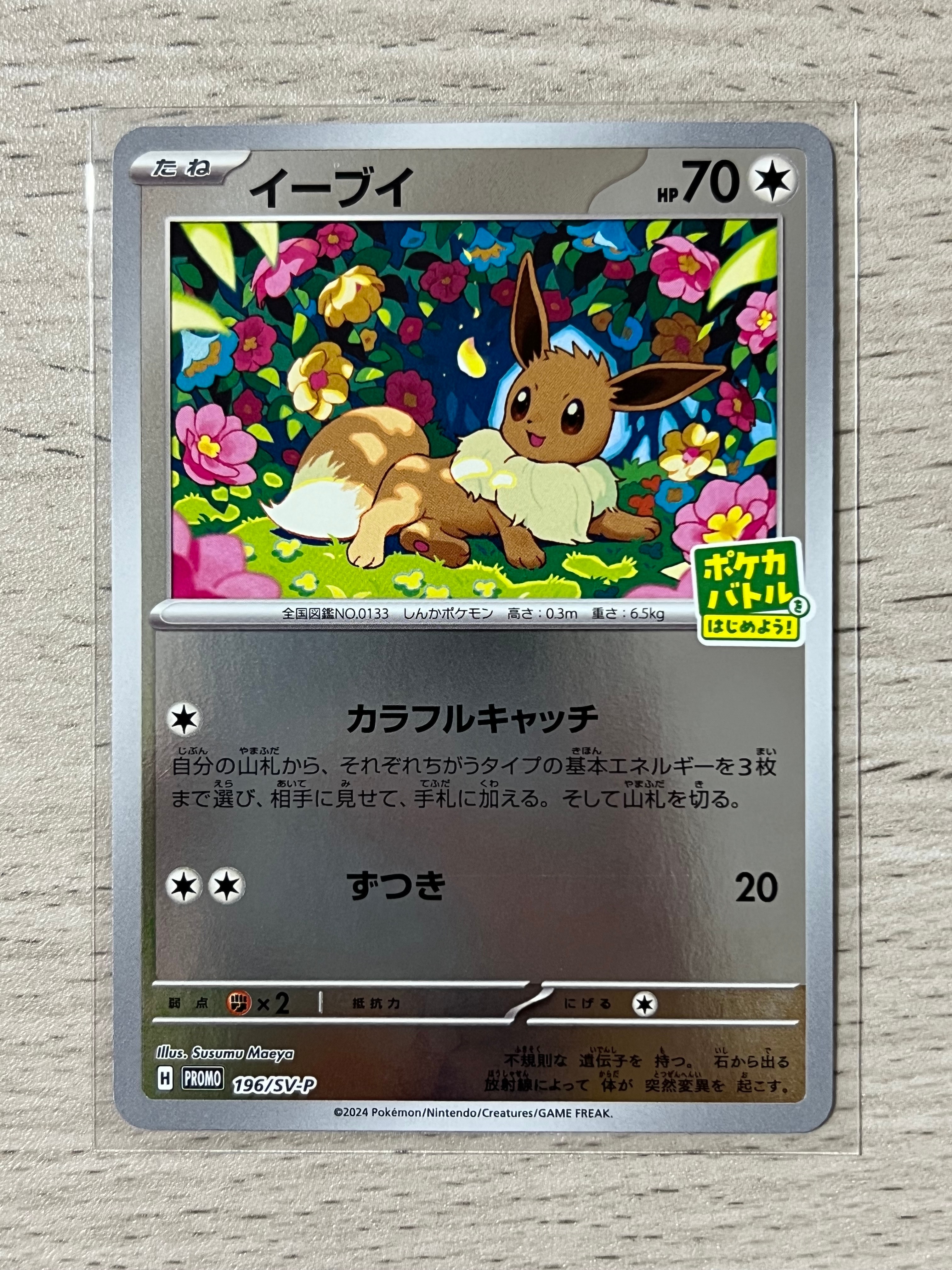 イーブイ P [SV-P-SM 196](プロモカードパック「ポケカバトルをはじめよう!キャンペーン」)