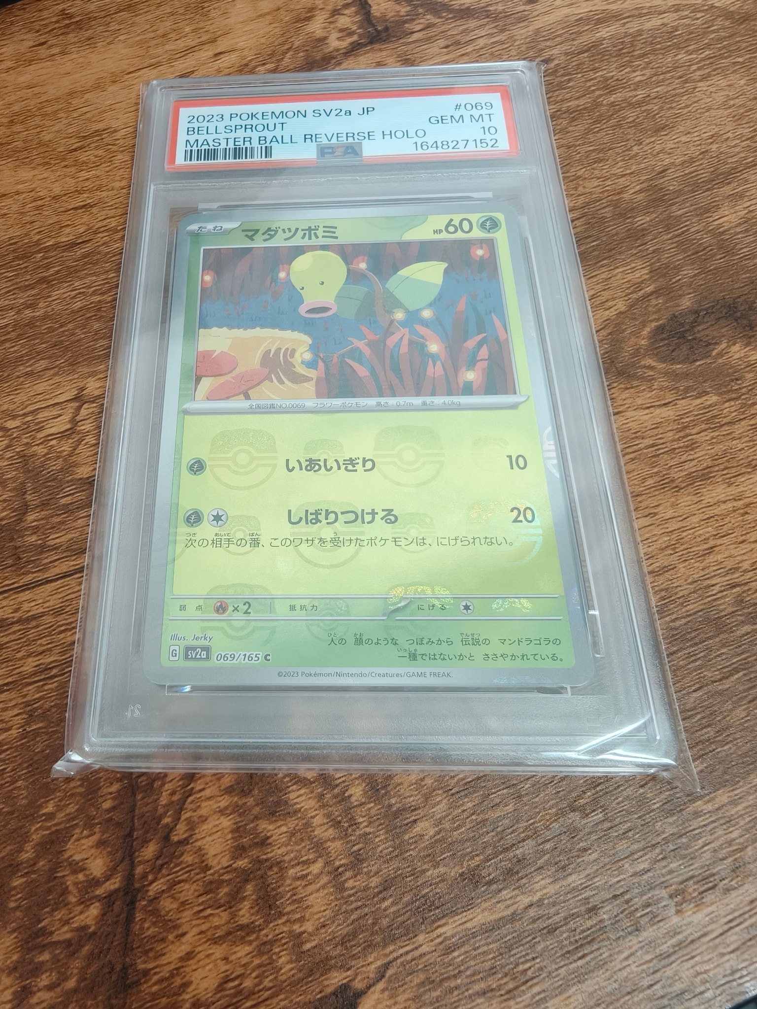 マダツボミ C: マスターボールミラー[SV2a 069/165](強化拡張パック「ポケモンカード151」)