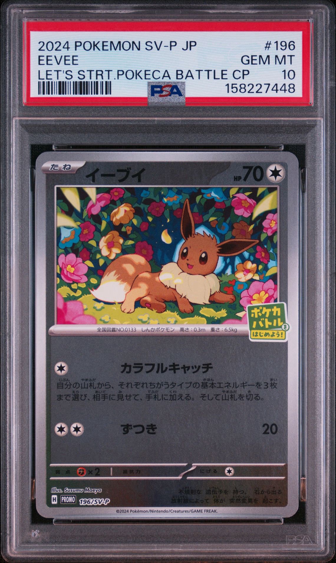 Eevee P [SV-P 196](Promo Card Pack "Let's start a Pokemon battle! campaign")