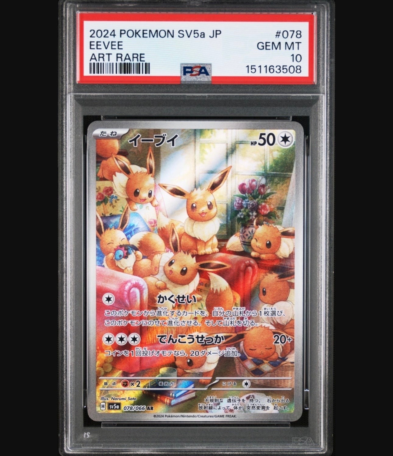 カイリュー GB: 旧裏/プロモ[PMCG-P No.149](プロモーションカード