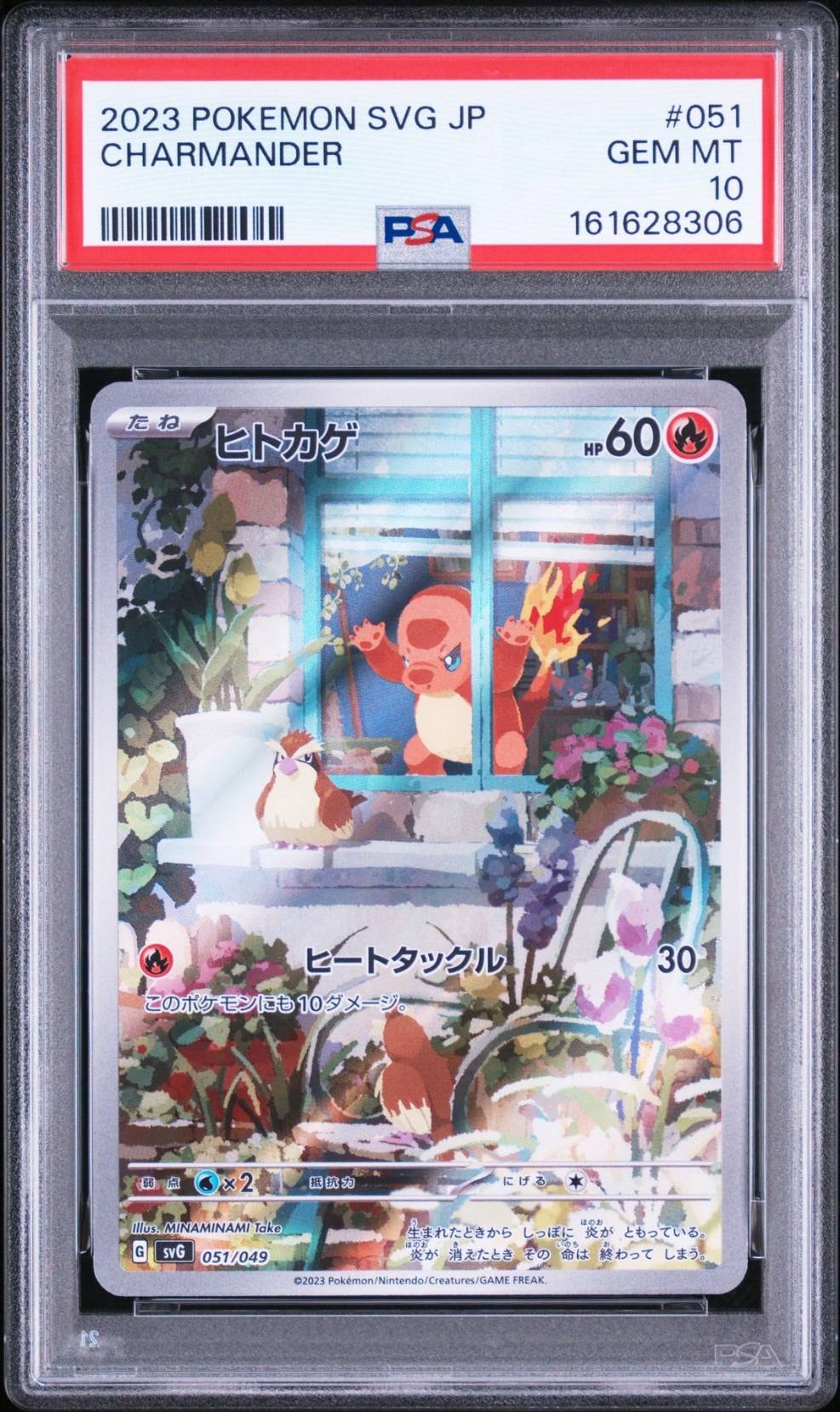 わるいフシギソウ ◇ [web 017/048](ポケモンカード☆web)の新品/中古