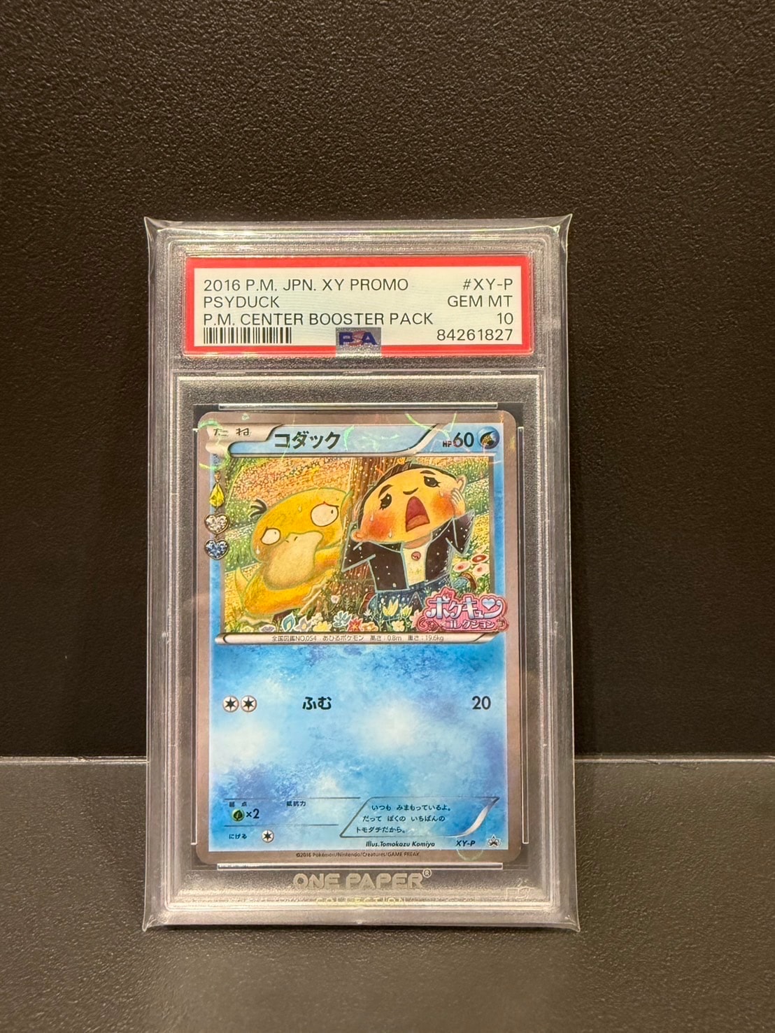 PSA10】コダック: プロモ[XY-P](プロモーションカード「XY-P」) 1枚の