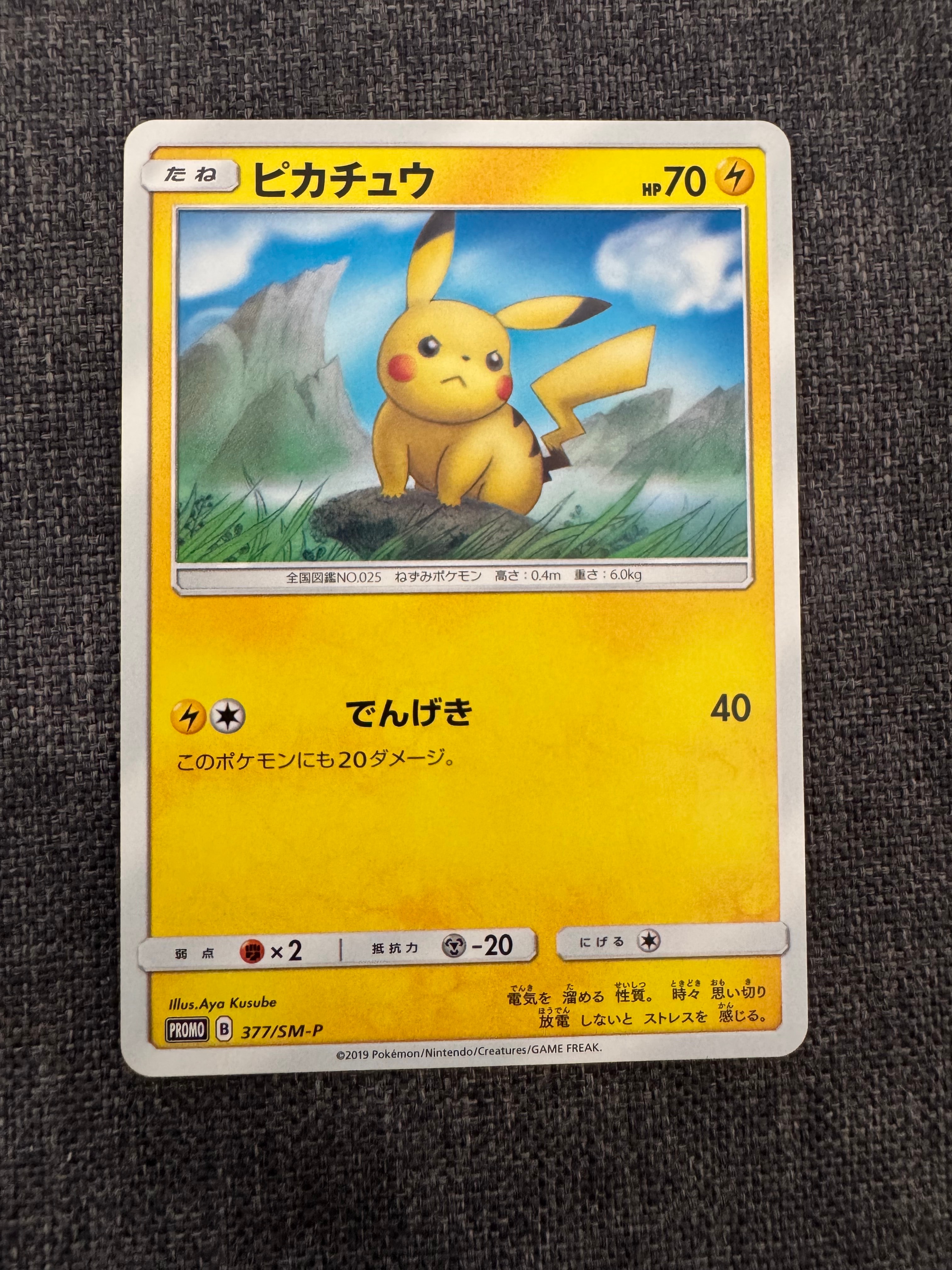 PSA10 ピカチュウ ローソン プロモ 376 376/SM-P ピカチュウ： ローソンサマーキャンペーン | SM-Pプロモ