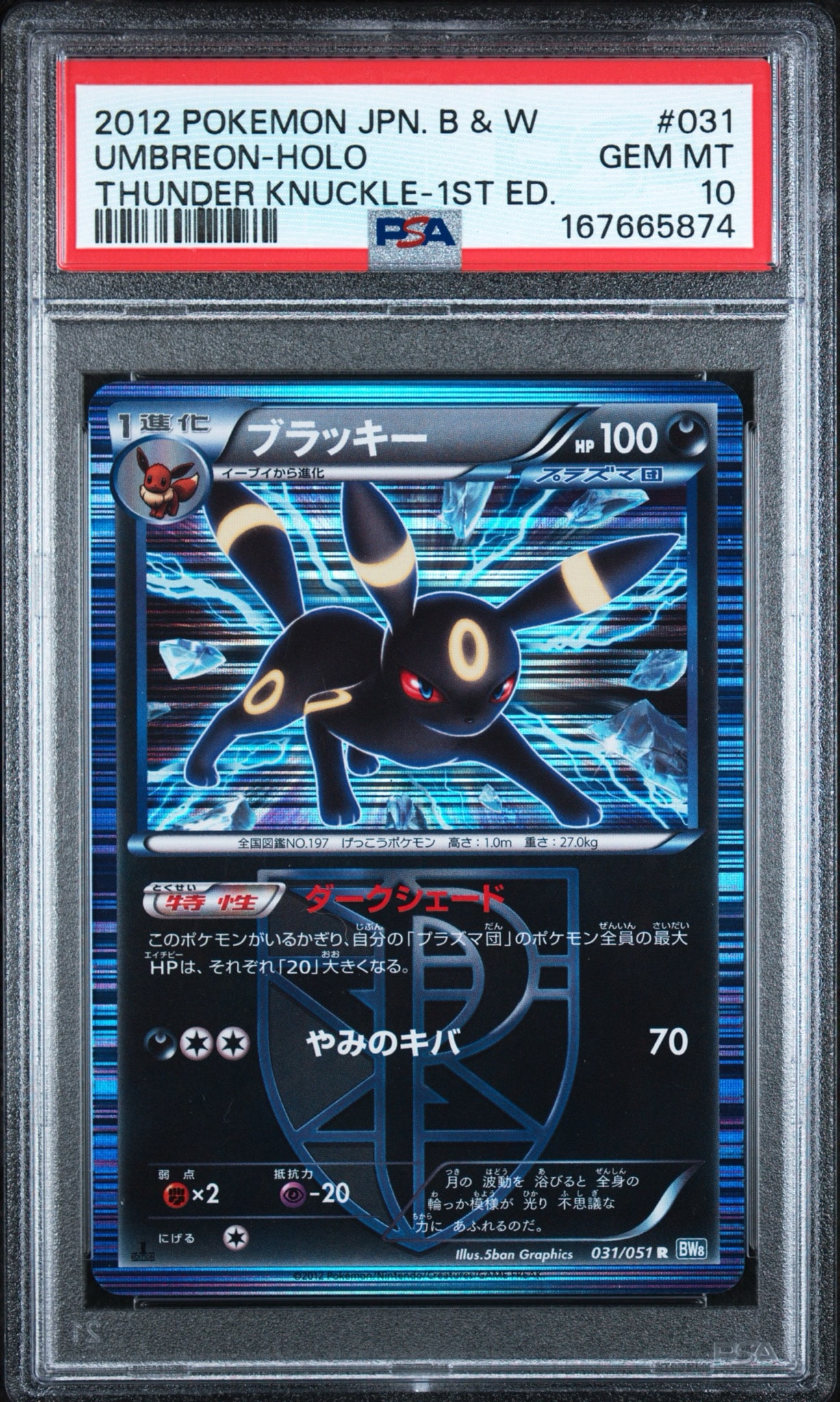 PSA8以下】ブラッキー R :1ED [BW8 031/051](拡張パック「ライデン