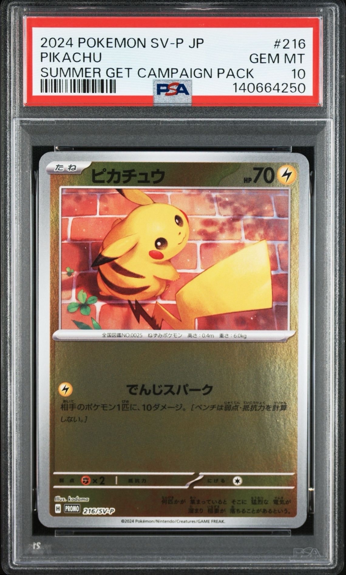 ピカチュウ P [SV-P 216](プロモカードパック「ポケカの夏がキタ!プロモカードGetキャンペーン!」)