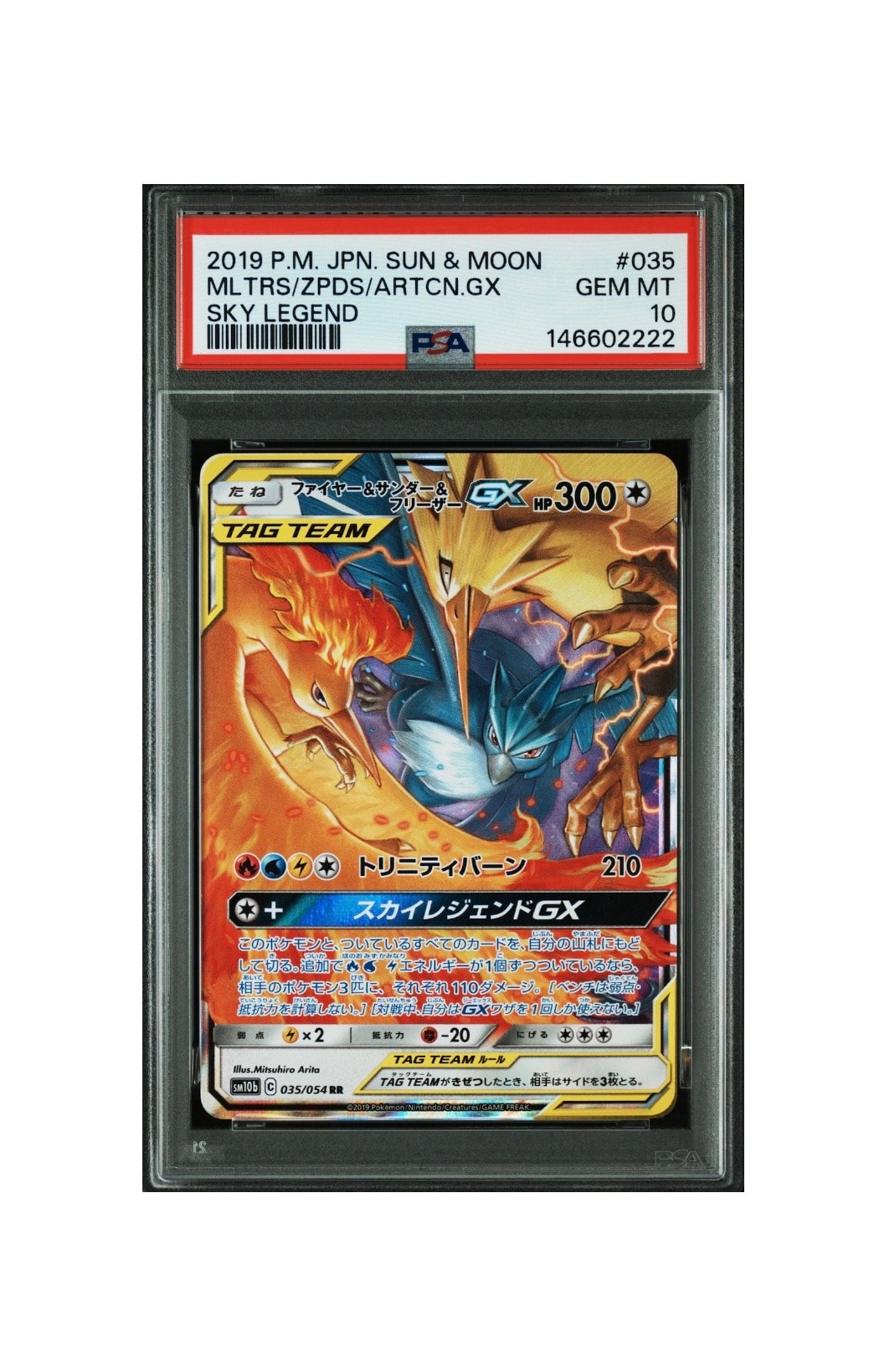 リザードンEX: プロモ(アートコレクション)[XY-P 276/XY-P