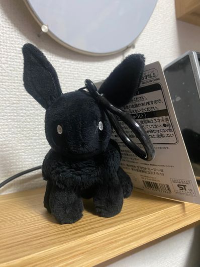 FRAGMENT x POKEMON THUNDERBOLT PROJECT P133 MASCOT "Black"