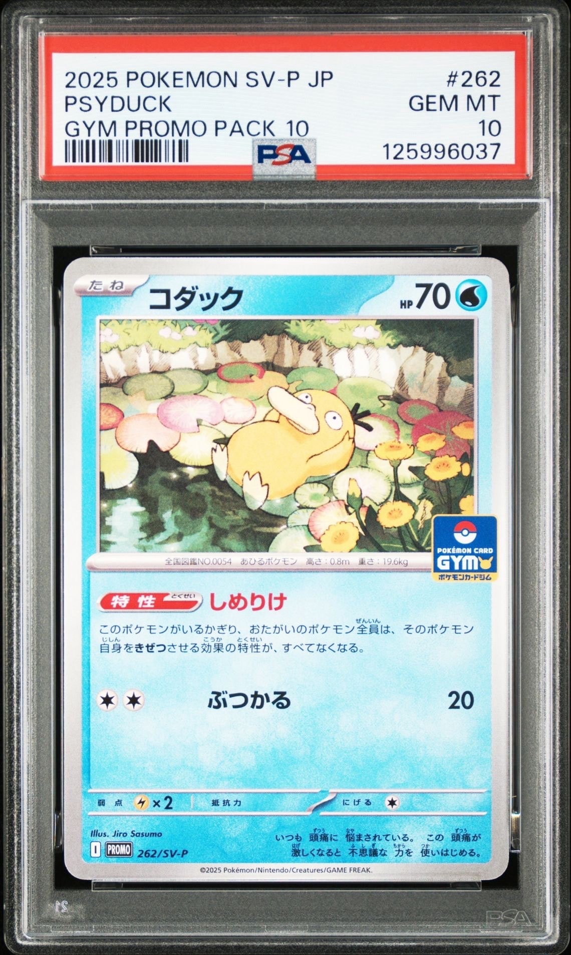コダック P [SV-P 262](プロモカードパック「第10弾」)