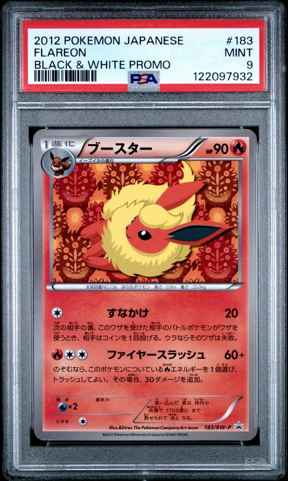 ブースター　183/BW-P プロモ　ポケカポケモンカード ブースター P [BW-P 183/BW-P](プロモーションカード「コレクション