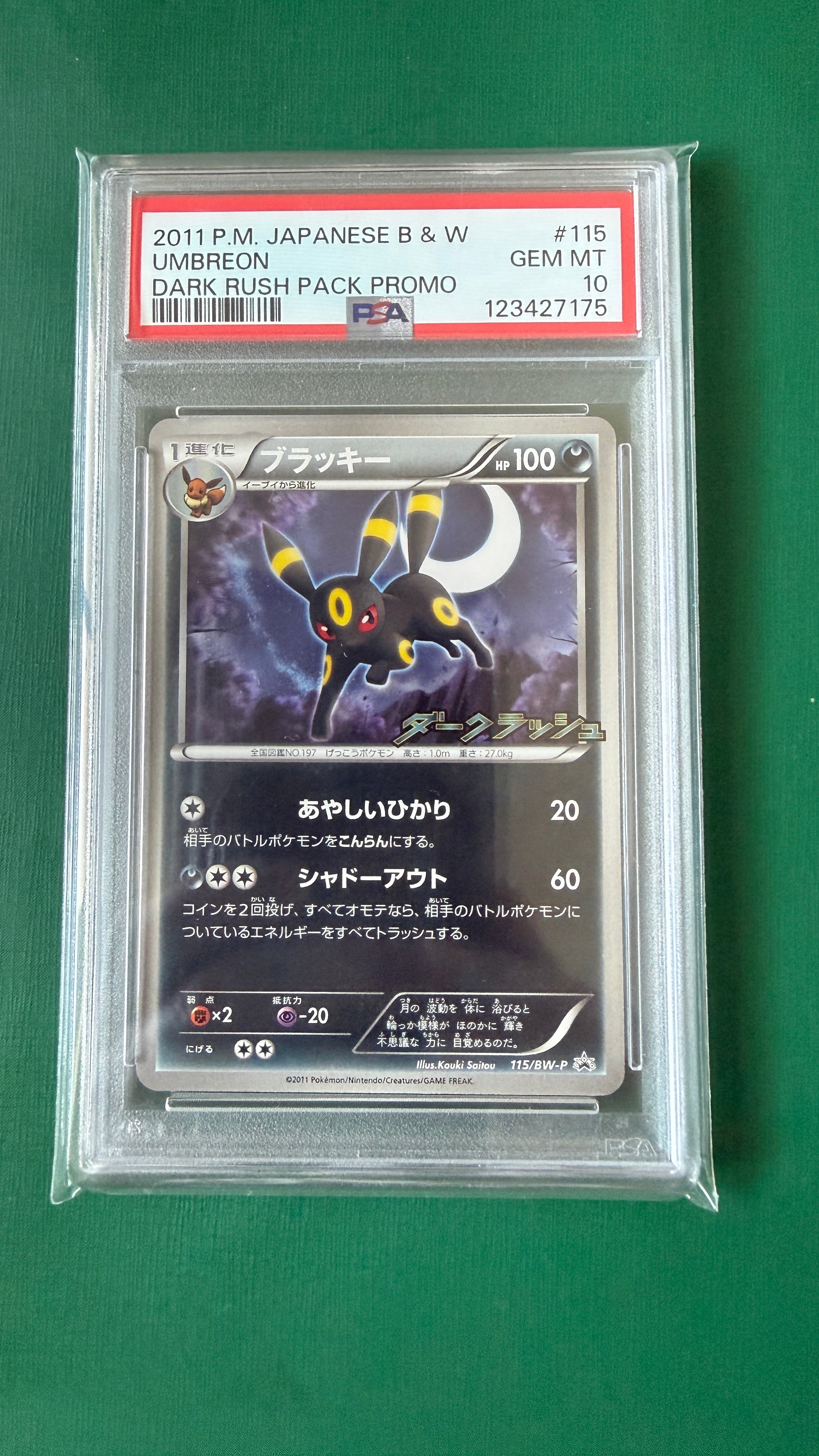 PSA10】ブラッキー P [BW-P 115/BW-P](プロモーションカード「ダーク