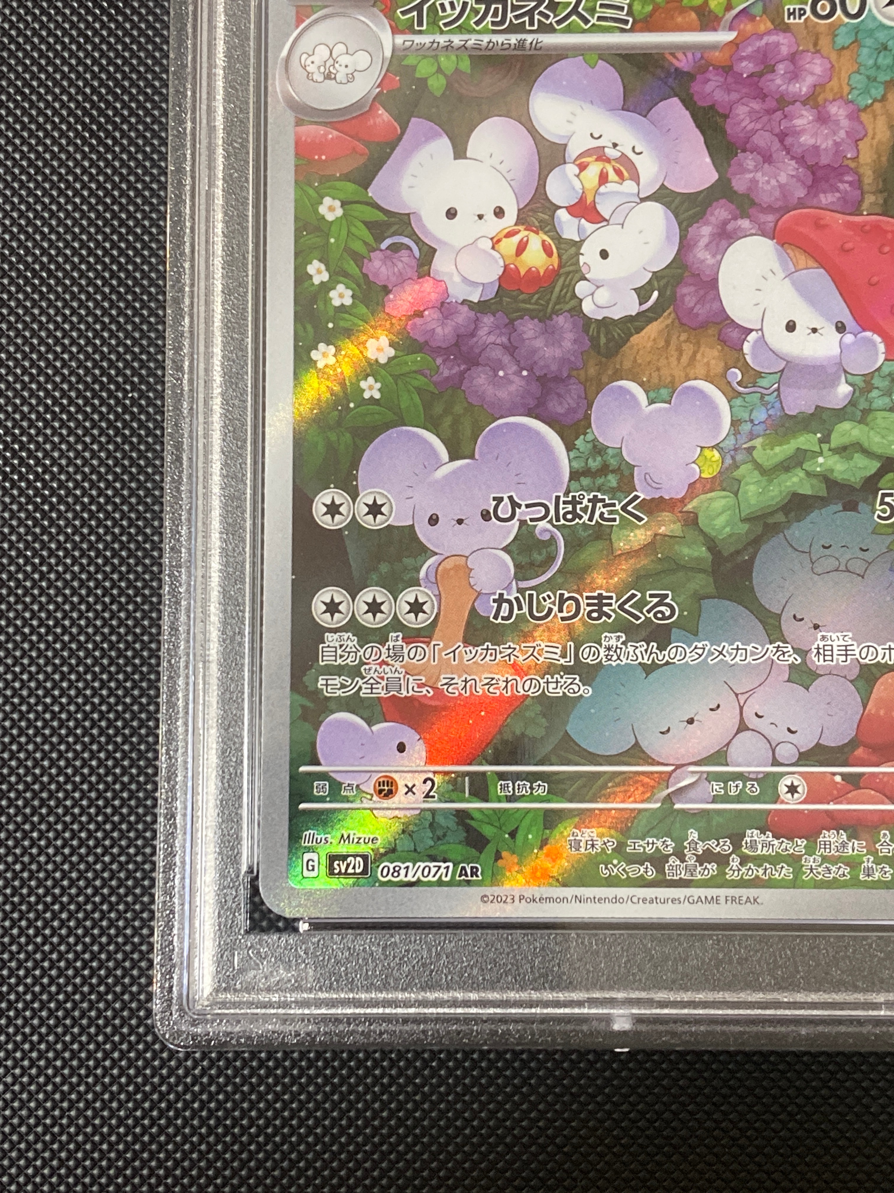 PSA10 連番　イッカネズミ AR SV2D 081/071 maushold s-l400.jpg