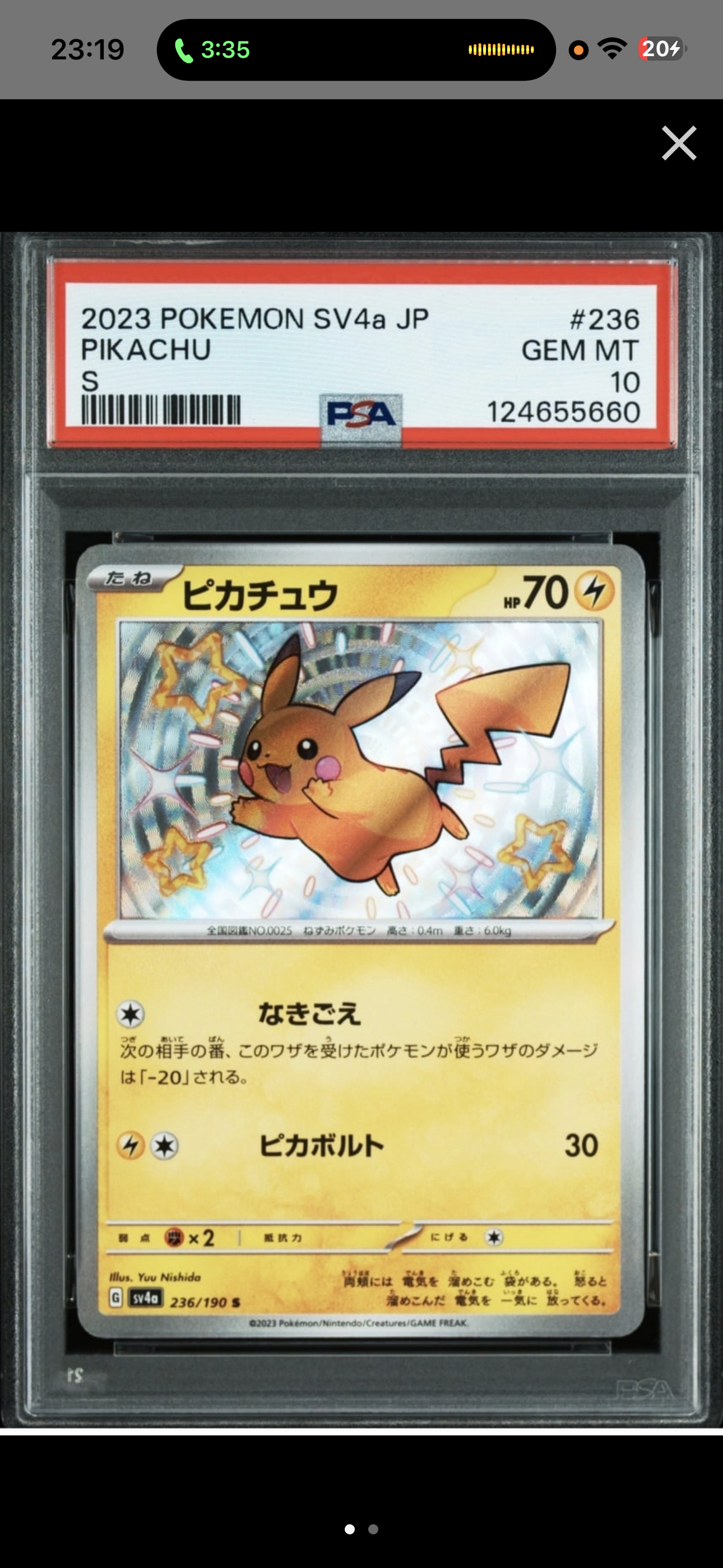 あったかピカチュウ: プロモ[XY-P 097/XY-P](プロモーションカード「XY