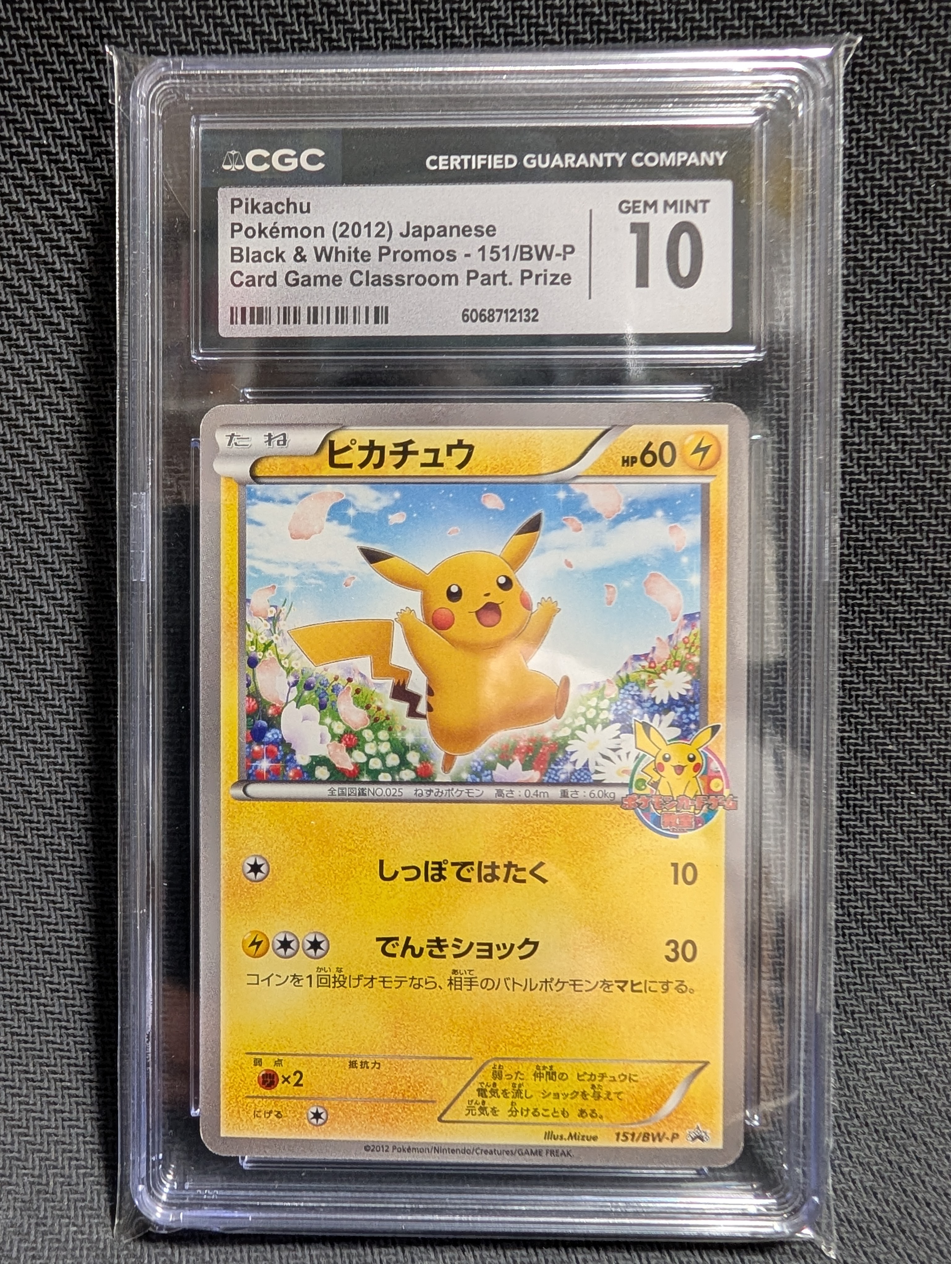 ピカチュウ P [BW-P 151](プロモ　ポケモンカードゲーム教室) 他鑑定品】ピカチュウ P [BW-P 151/BW-P](プロモーションカード
